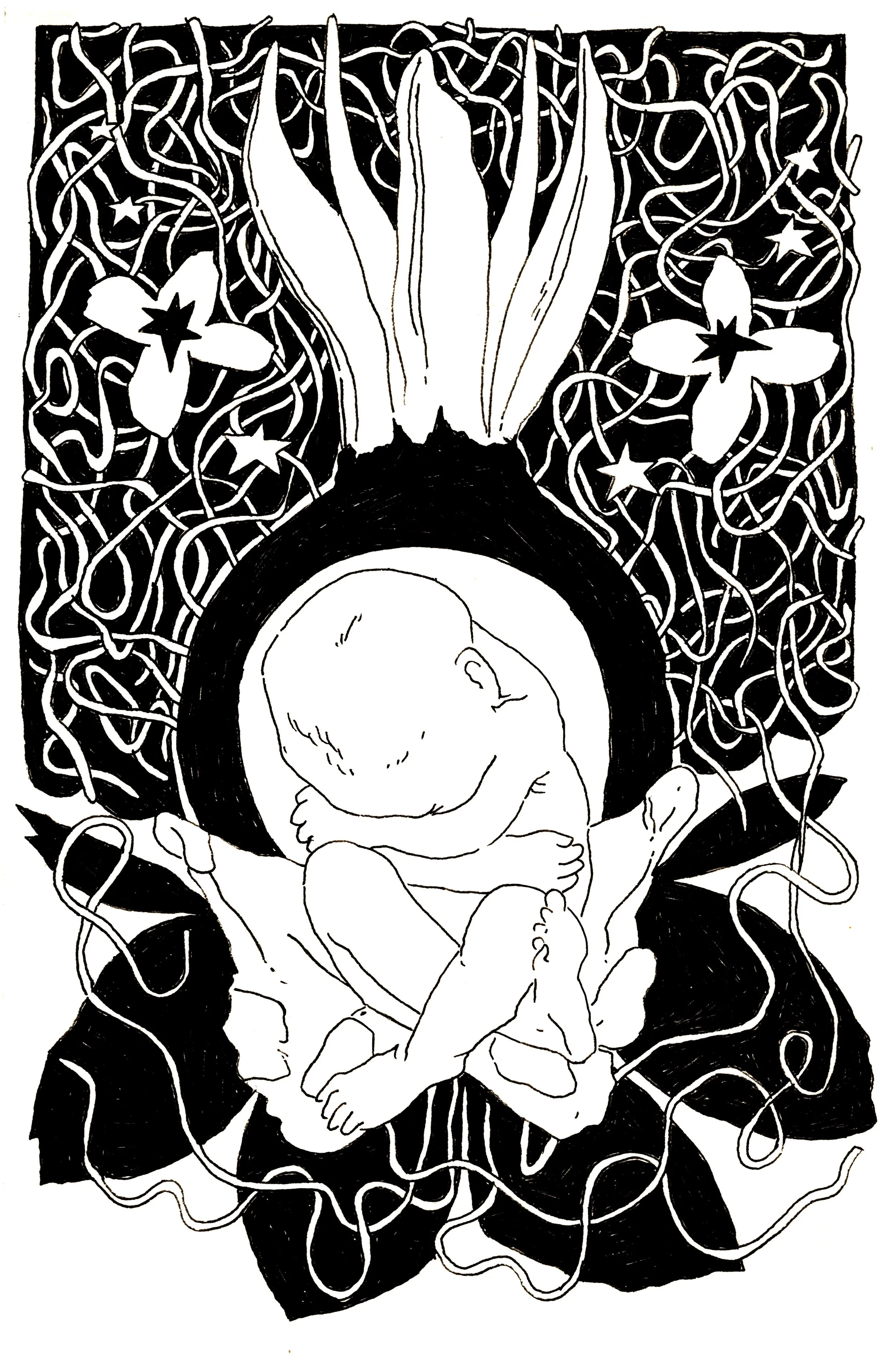 baby 2.jpg
