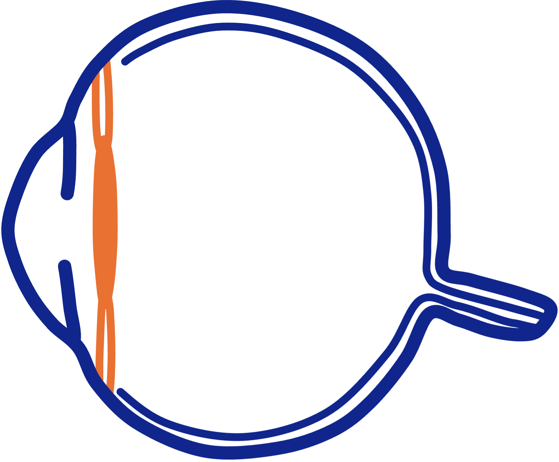 SFIOL1.png