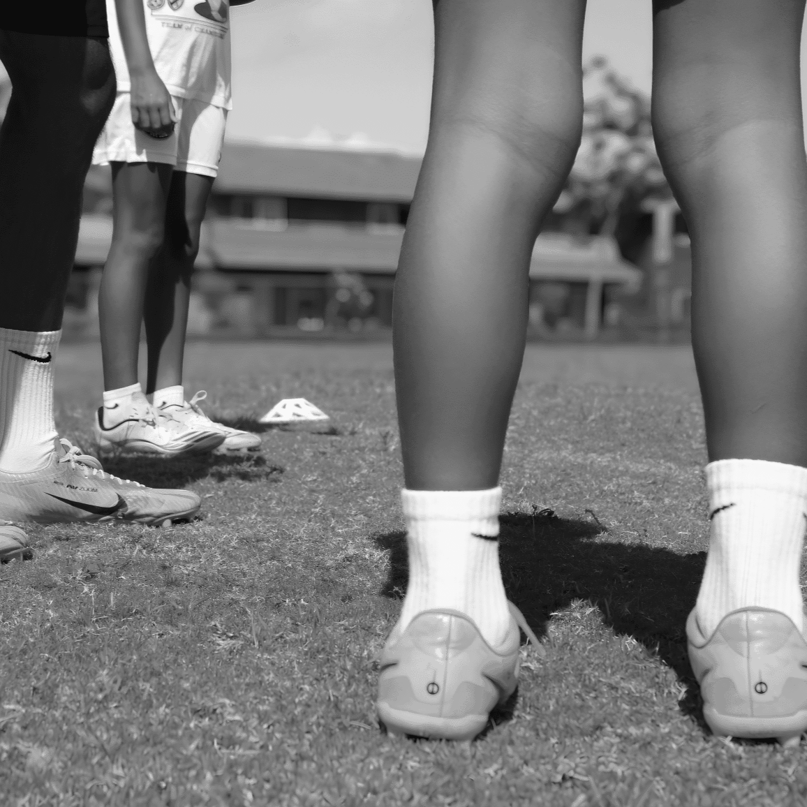 Close-up of a green turf field with a white painted line on the ground.