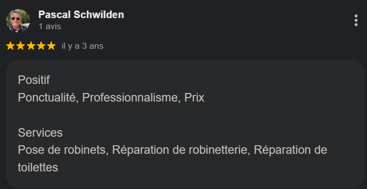 Avis en ligne avec 5 étoiles pour un service de plomberie, mentionnant la ponctualité, le professionnalisme et le prix, incluant la pose de robinets, la réparation de robinetterie et la réparation de toilettes.