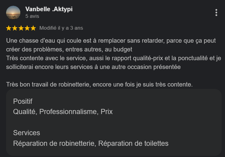 Citation d'une description d'un service de réparation de plomberie, mentionnant une chasse d'eau à réparer, la satisfaction du client, et les services offerts comme la réparation de robinetterie et de toilettes.