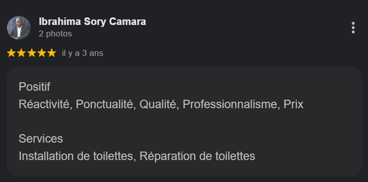 Capture d'écran d'une fiche Google My Business pour Ibrahimisa Sory Camara, avec une note de 5 étoiles, mentionnant des services de réparation de toilettes.