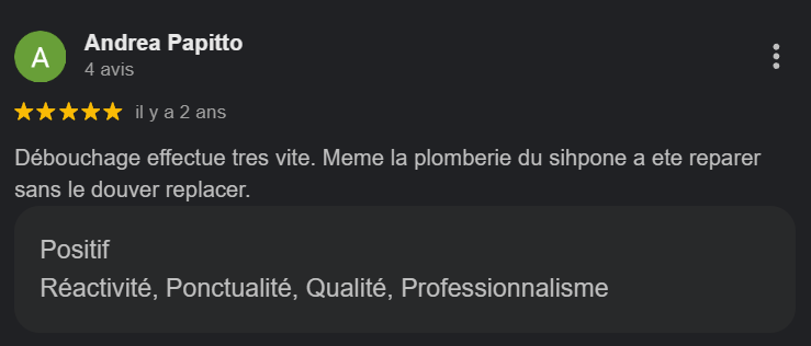 Avis en ligne de l'utilisateur Andrea Papitto exprimant une satisfaction avec 5 étoiles, mentionnant une réparation de plomberie réalisée rapidement et de qualité.
