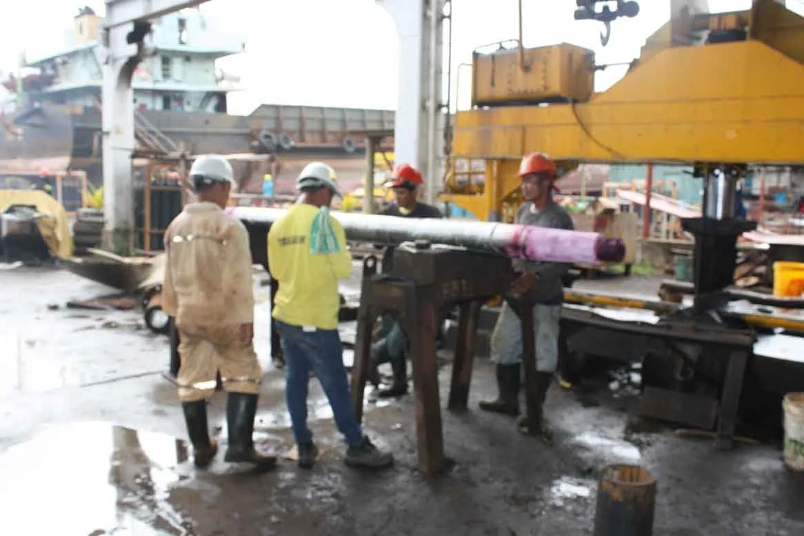 5b.jpg