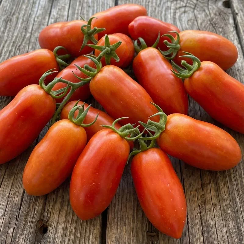 San Marzano Tomatoes - Quart