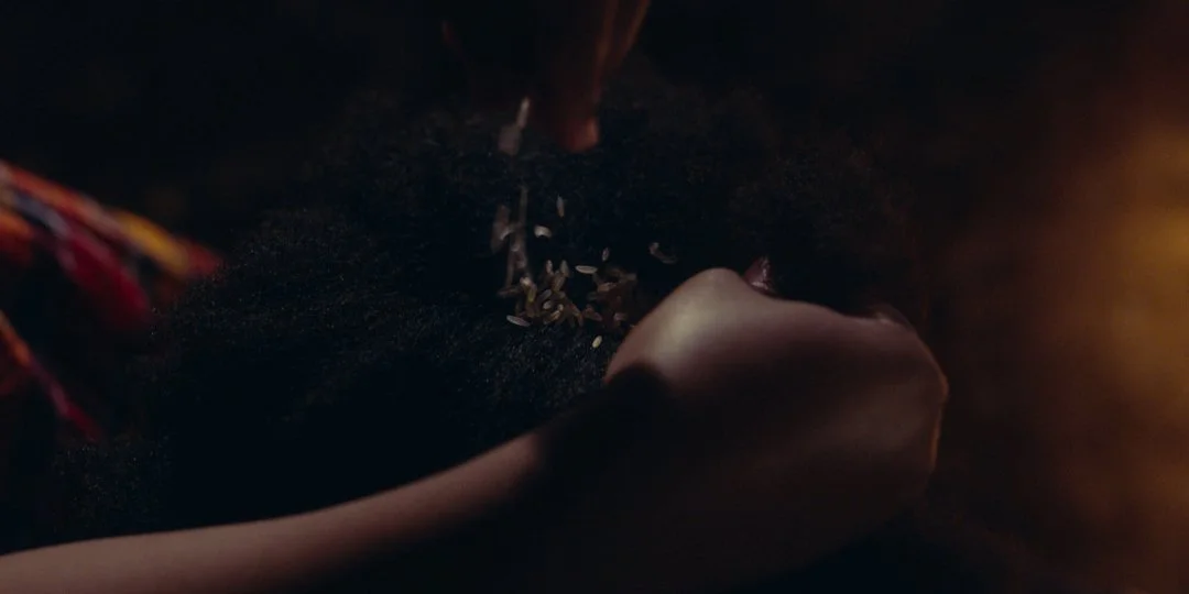 An image of Greenspacing.