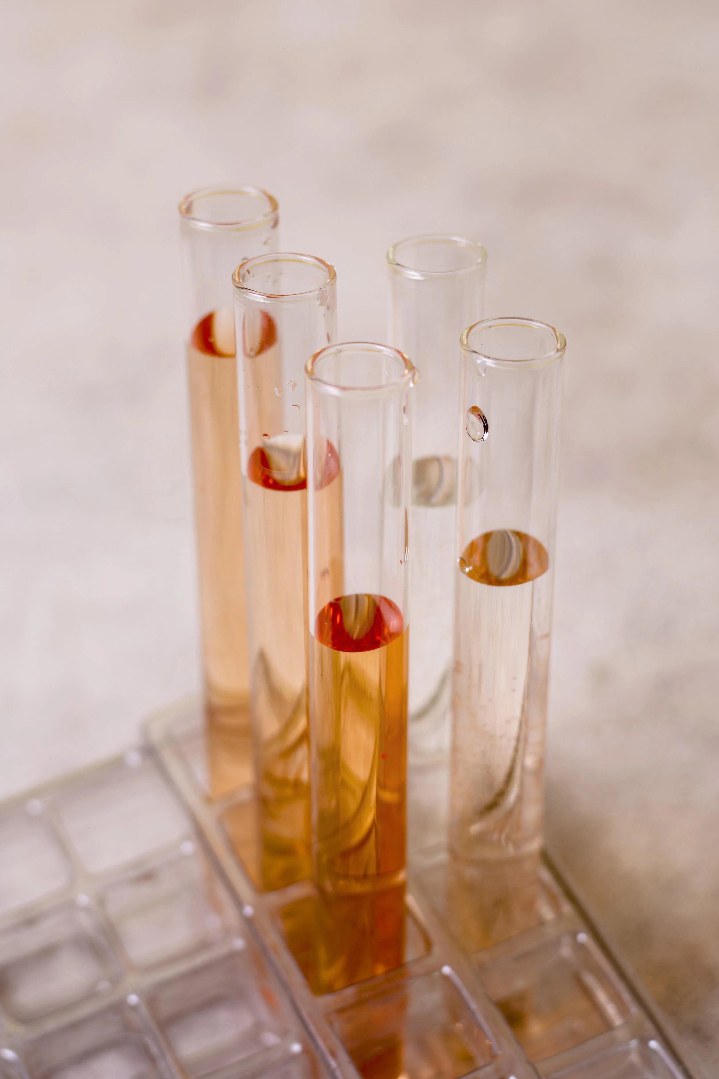 Mehrere Laborgläser in einem Reagenzglasständer, gefüllt mit einer rosafarbenen Flüssigkeit, auf einem weißen Untergrund.