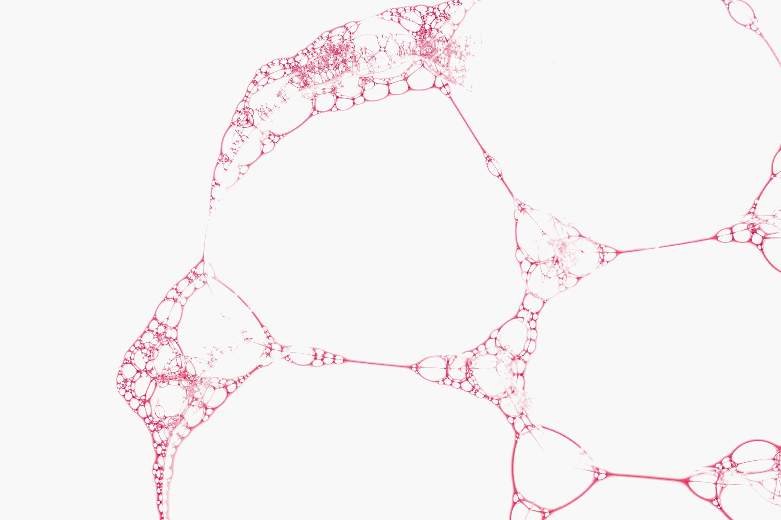 Horizontale Nahaufnahme von Seifenblasen in zarten rosa Farbtönen, die in einem Muster miteinander verbunden sind und auf einem weißen Hintergrund schweben.
