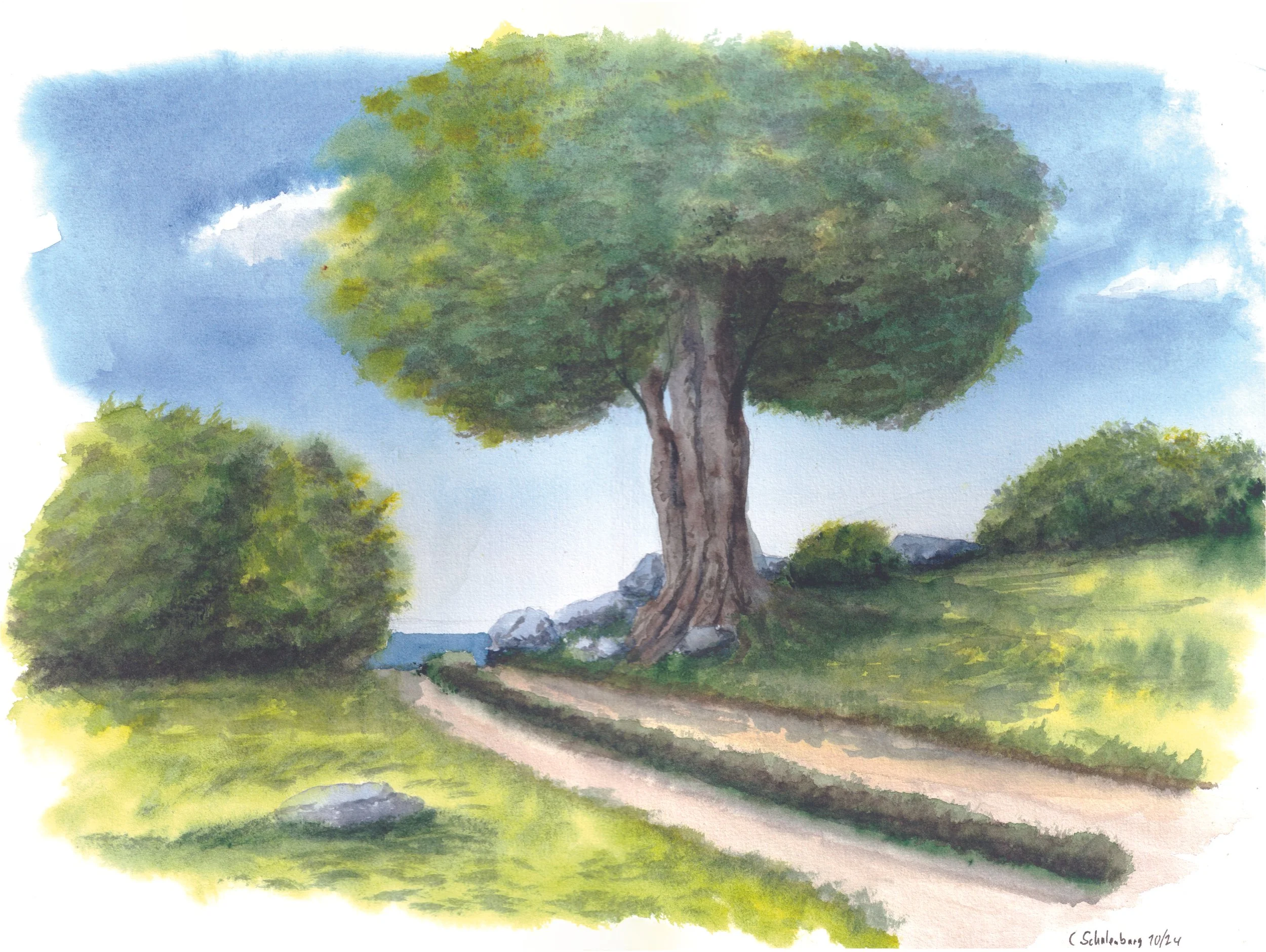 Salzwassergeruch Vari 2.jpeg