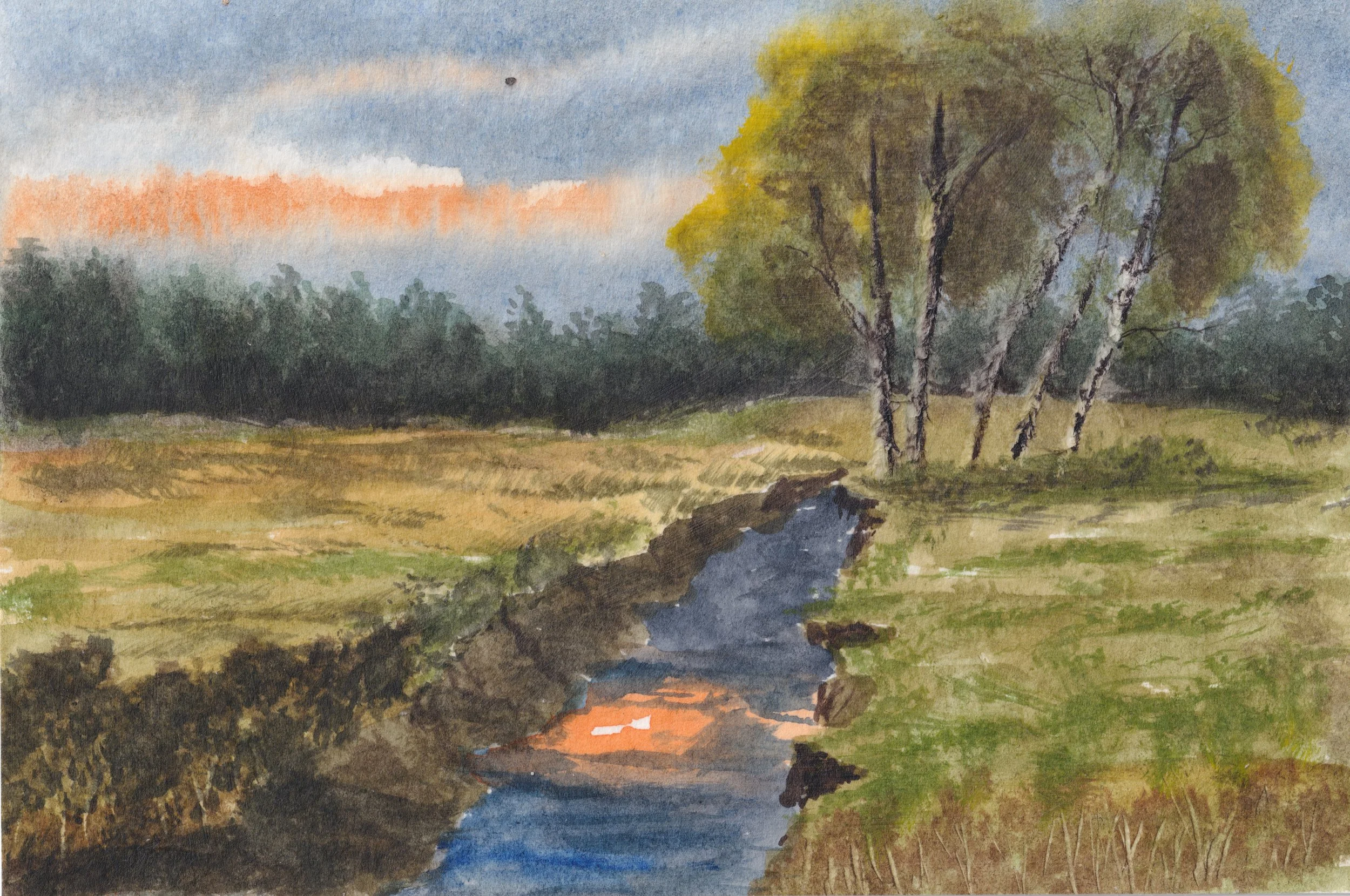 Sonnenuntergang mit Birke.jpeg