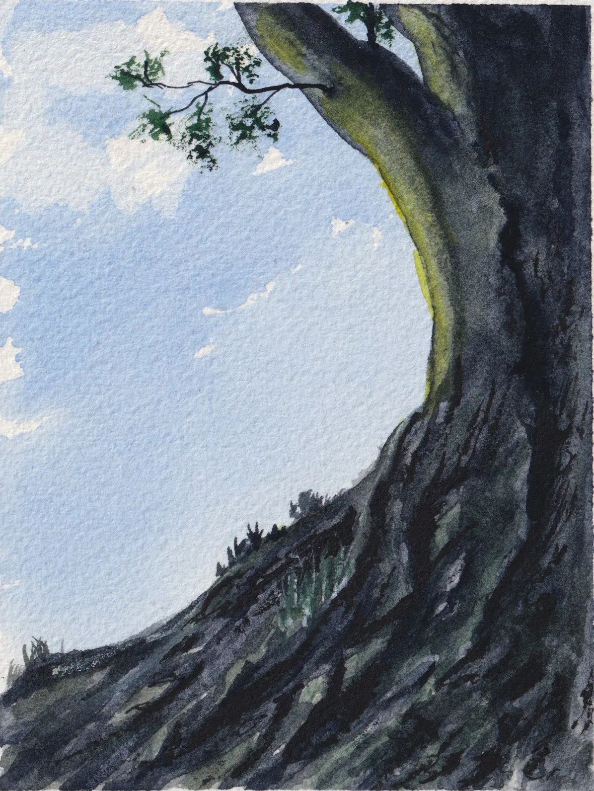 Back to the roots.jpg