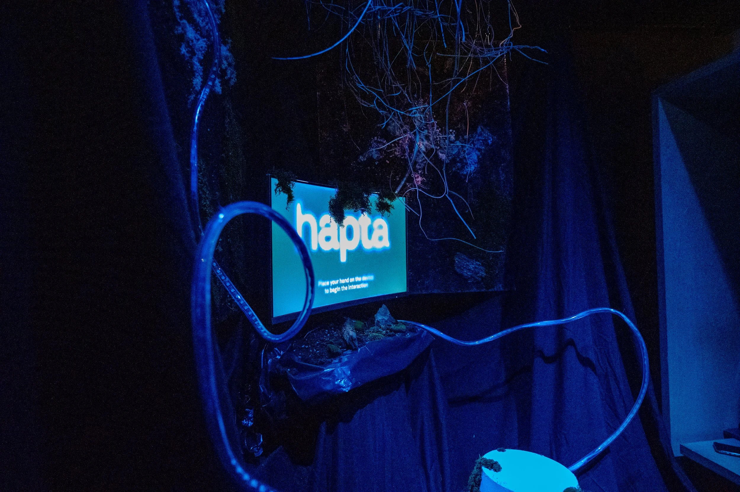 Exhibition: Hapta
