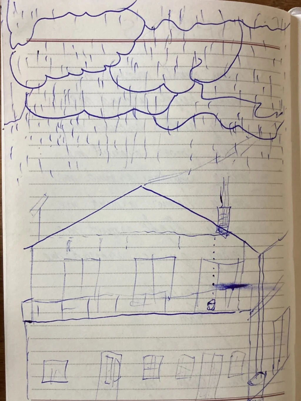 🕊 Daily Drawing: Day 58
The page feels light, as if the wind has touched it from within.
#airelement #softmovement #subtleenergy #dailyartpractice