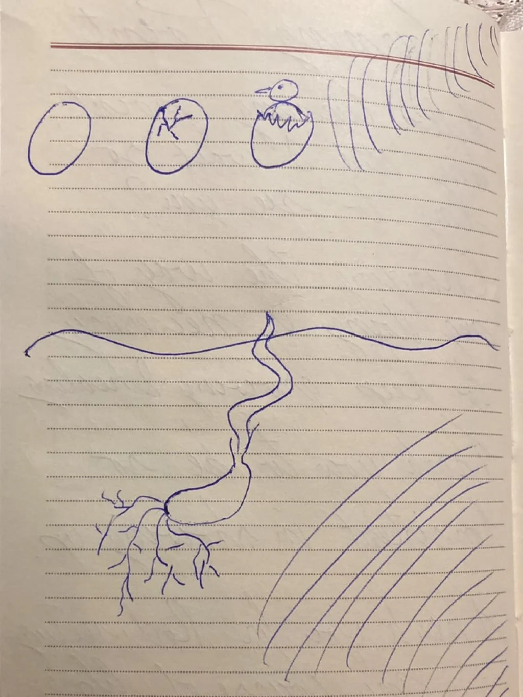 🕊 Daily Drawing: Day 64
The page opens wider, as if trust has deepened.
#innertrust #creativeopening #slowart #soulsketch