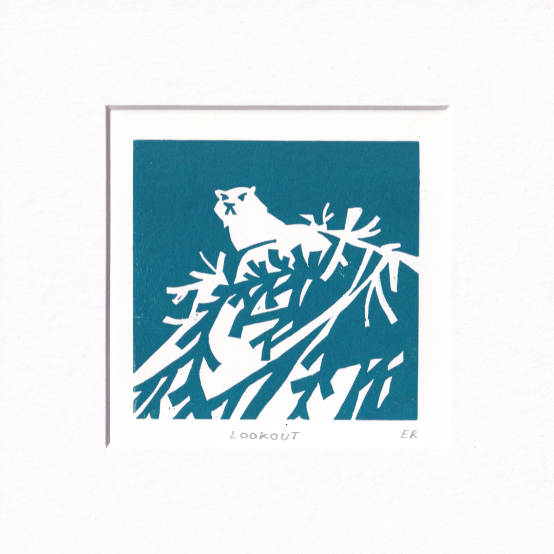 Lookout - Teal