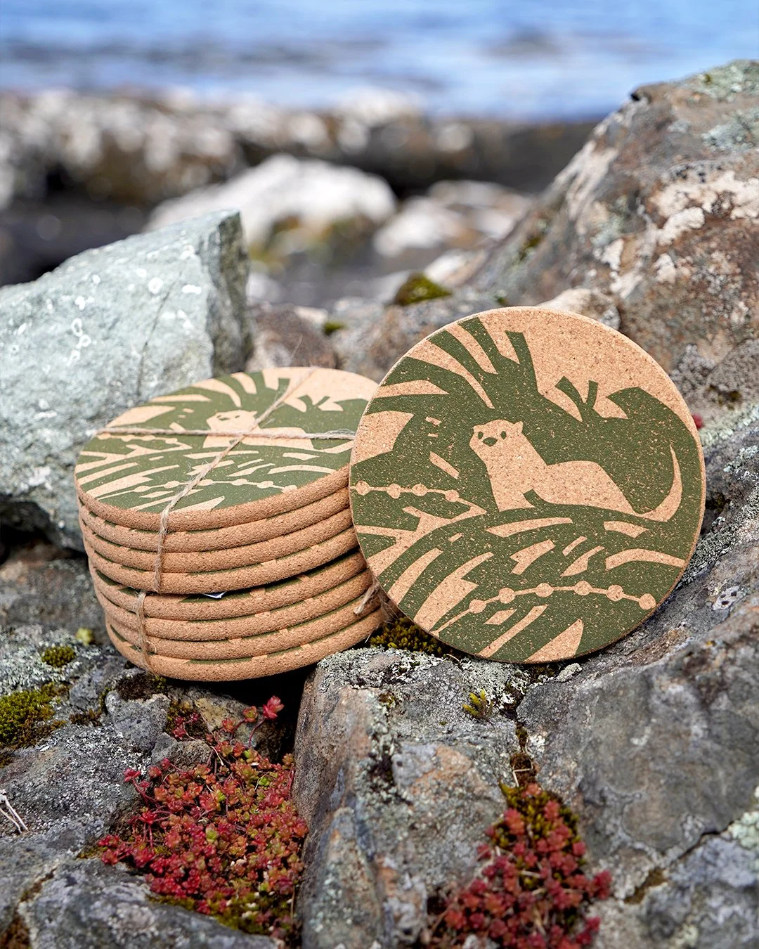 Green Otter Coaster Pack.jpg