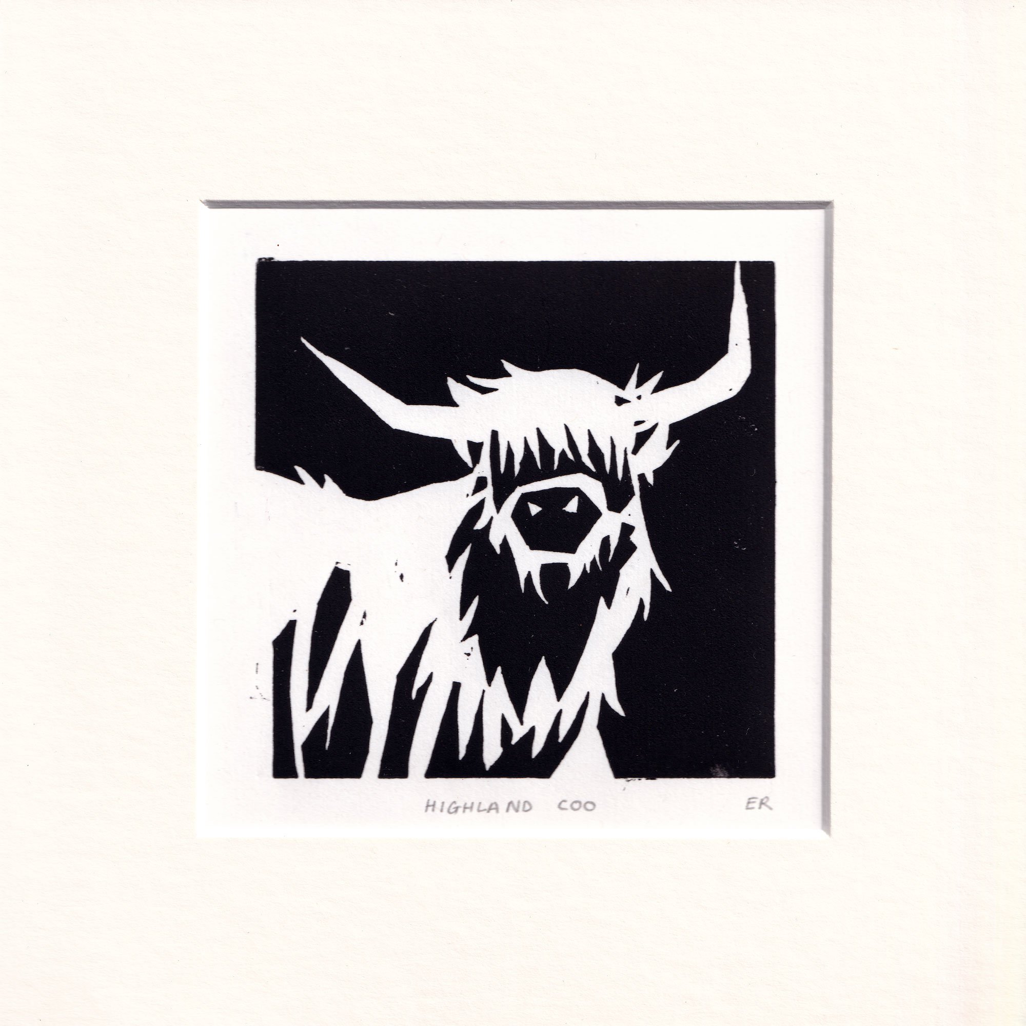Highland-Coo.jpg