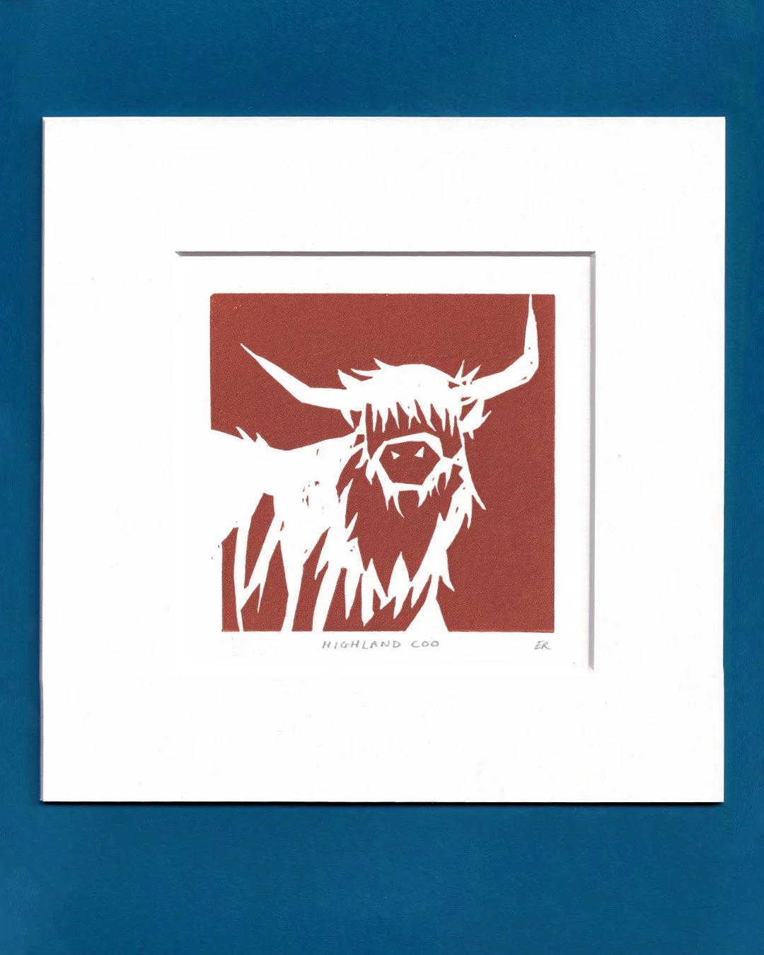 Highland Coo - Colour