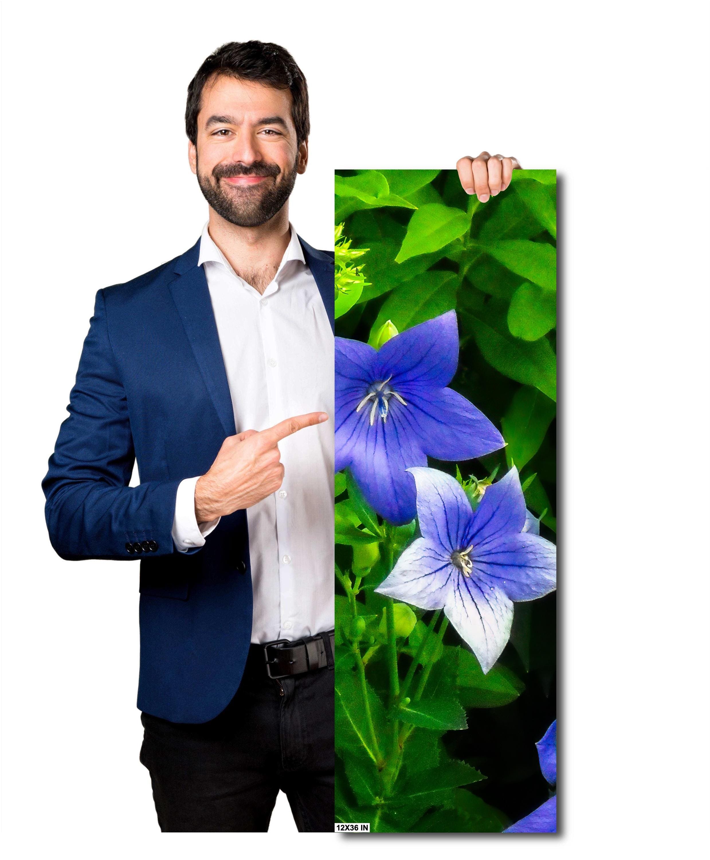 https://i.etsystatic.com/54531315/r/il/018a75/6552679560/il_fullxfull.6552679560_7hs6.jpg
