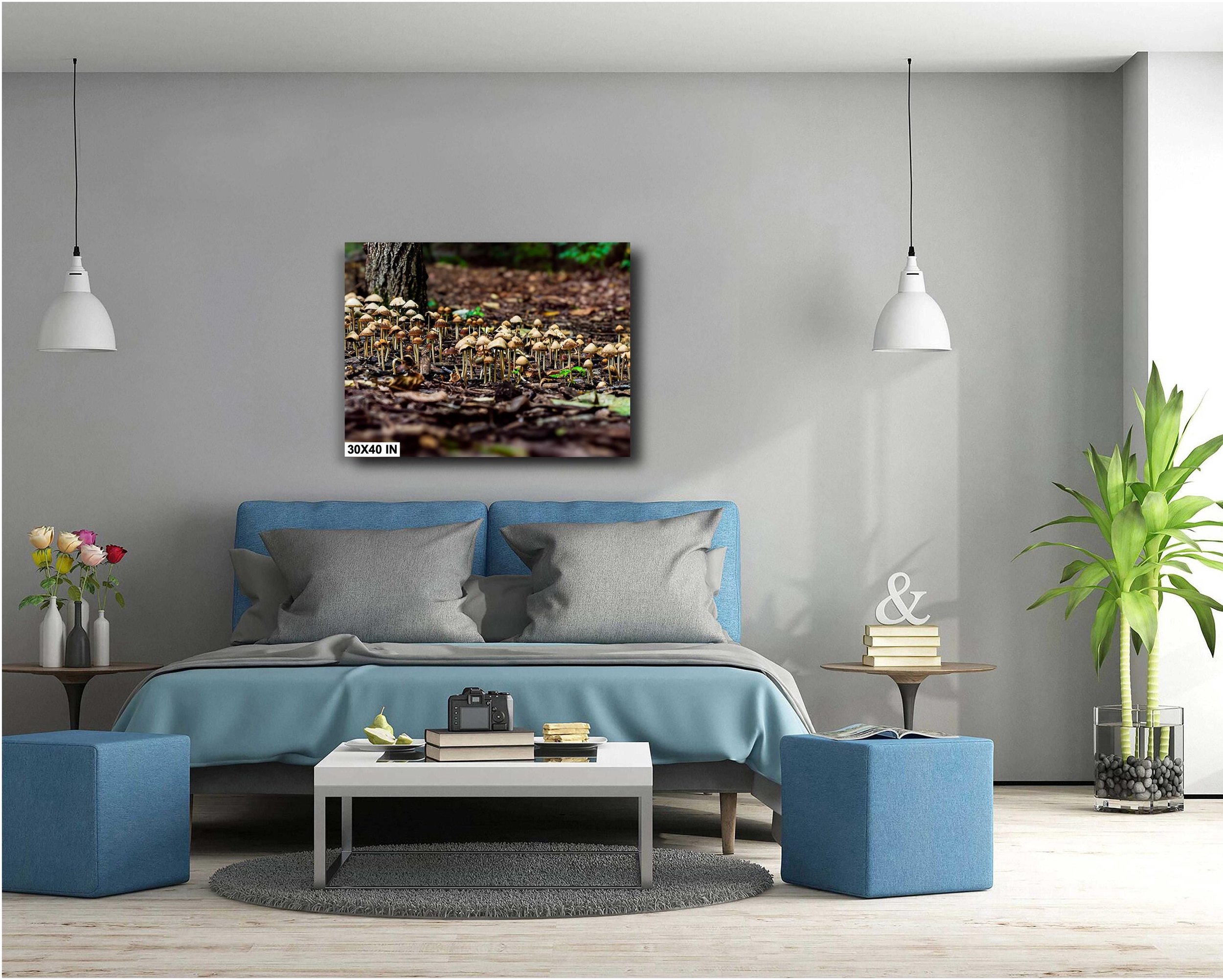 https://i.etsystatic.com/54531315/r/il/3fc214/6401820726/il_fullxfull.6401820726_4tpc.jpg