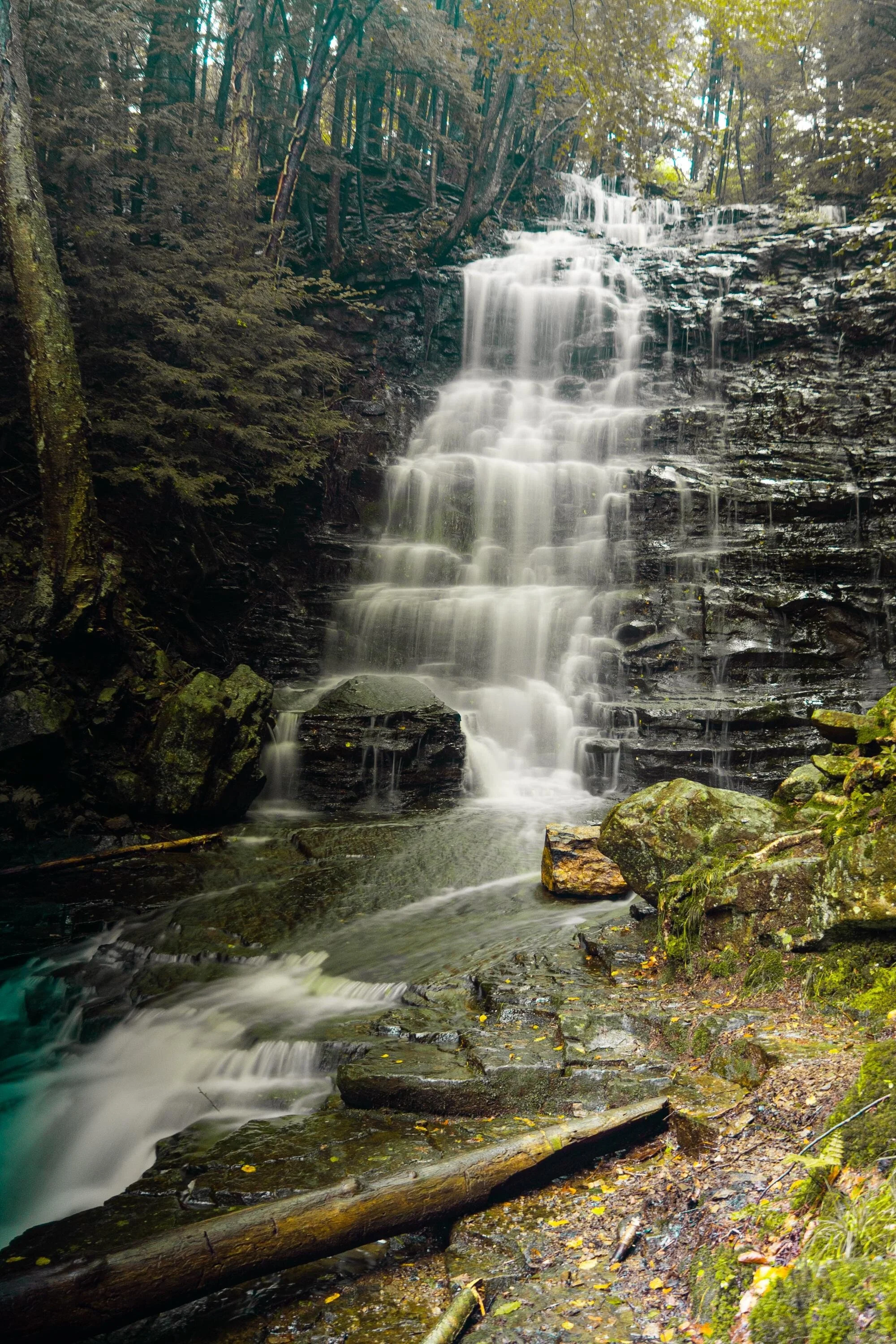 The Basics - Understanding ISO: The Backbone of Exposure