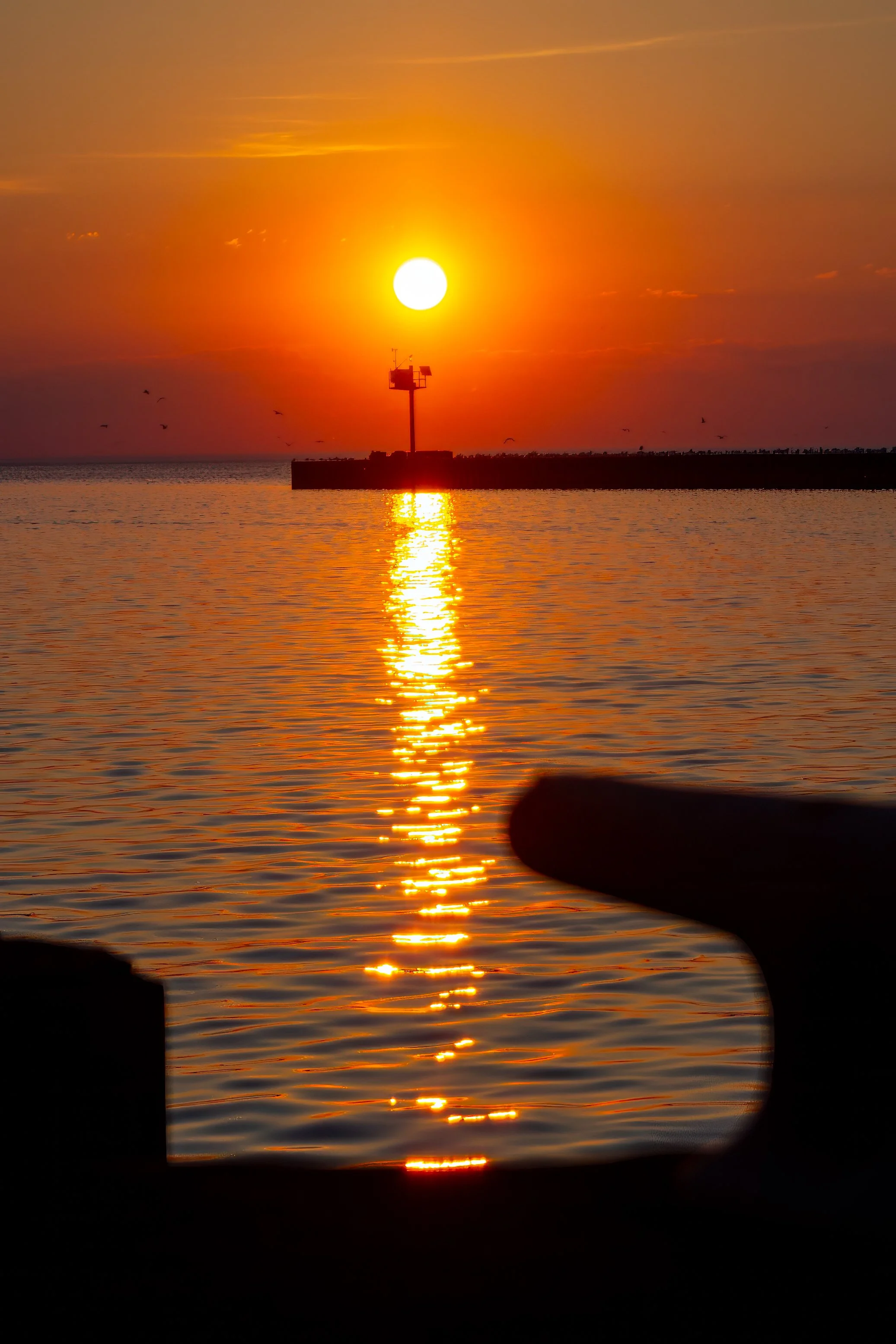 5 Important Things I Didn’t Know Enough About When I Started in Photography