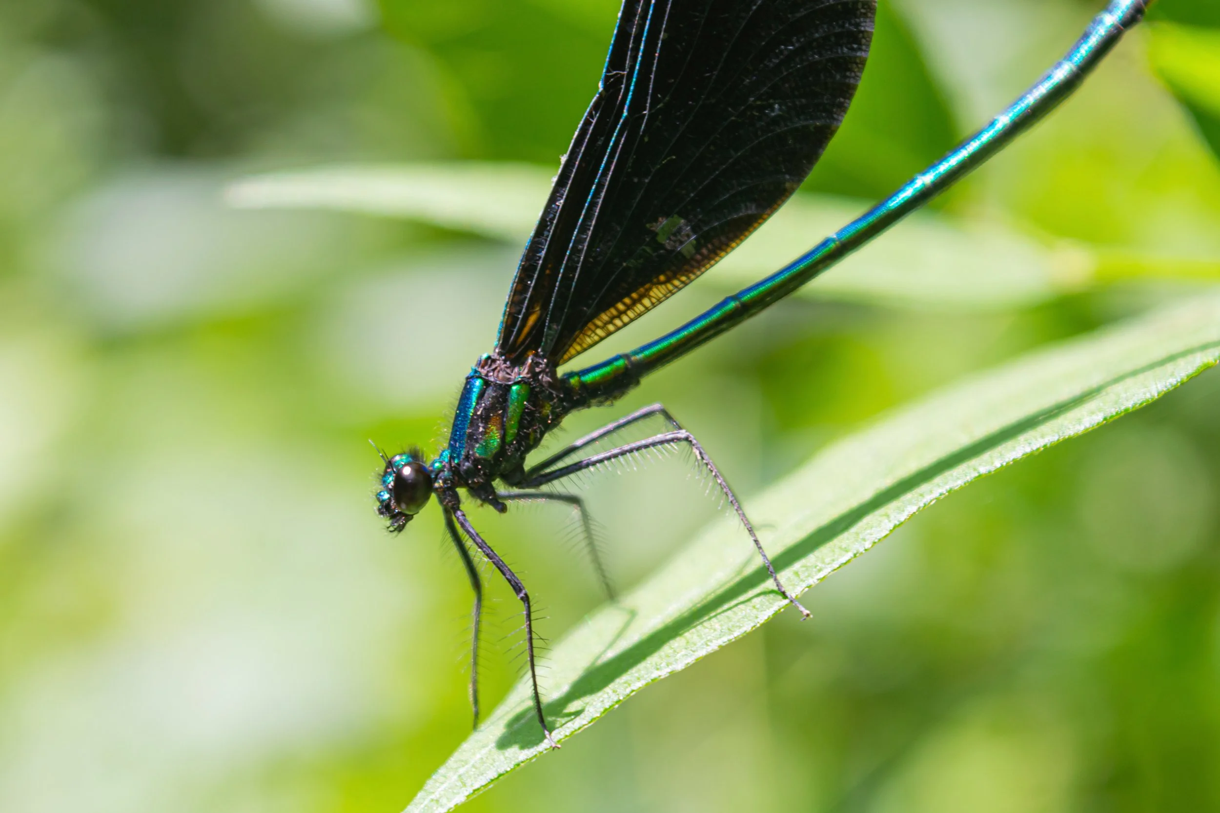 Personal Growth Through Photography