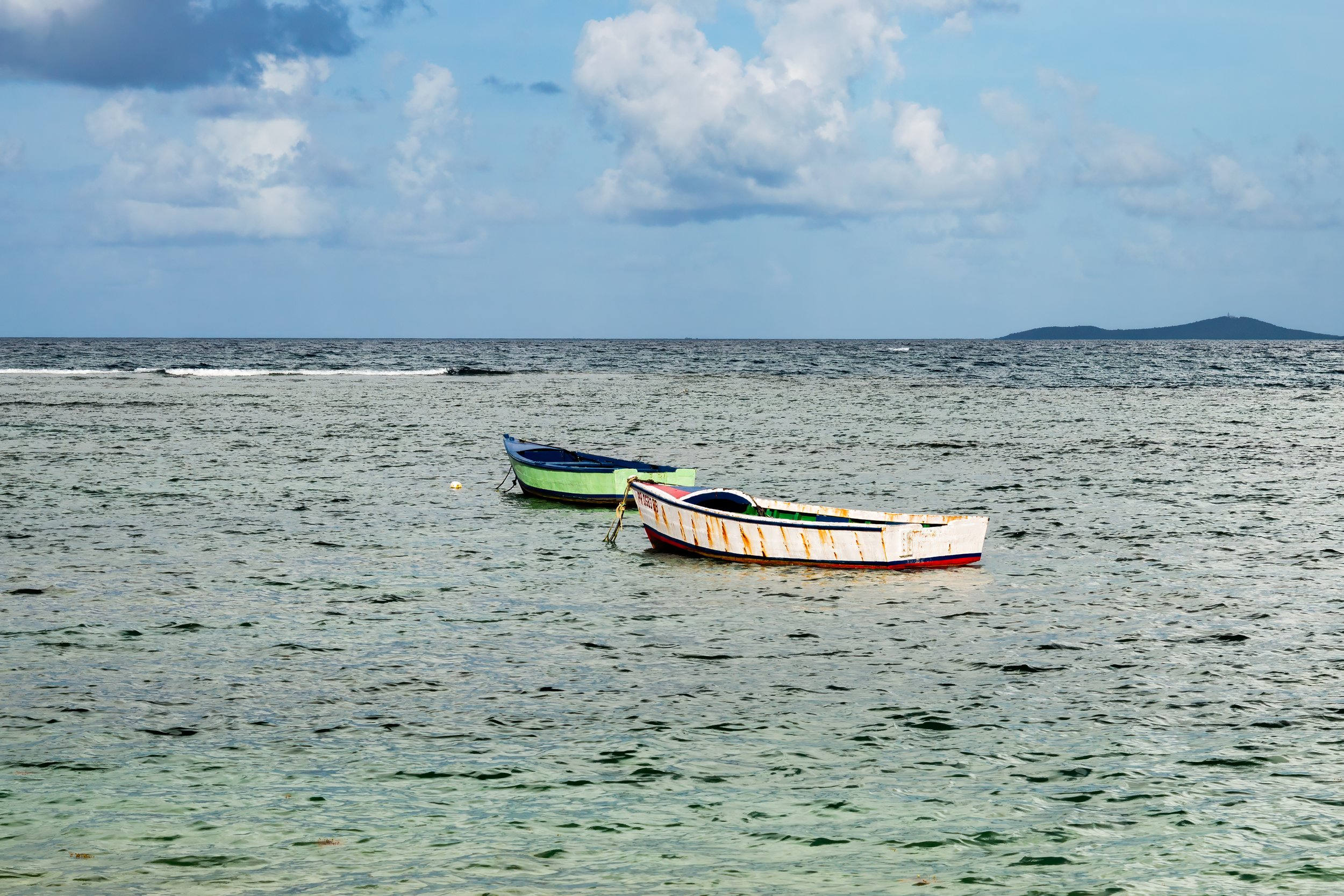 The Basics - Understanding Camera Shooting Modes