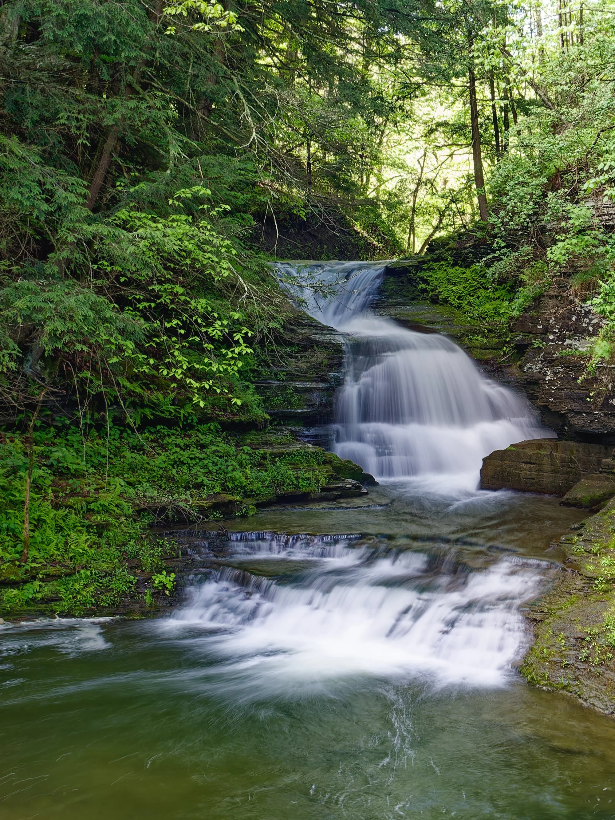 The Basics - Understanding Exposure: Learning to See Light the Way Your Camera Does