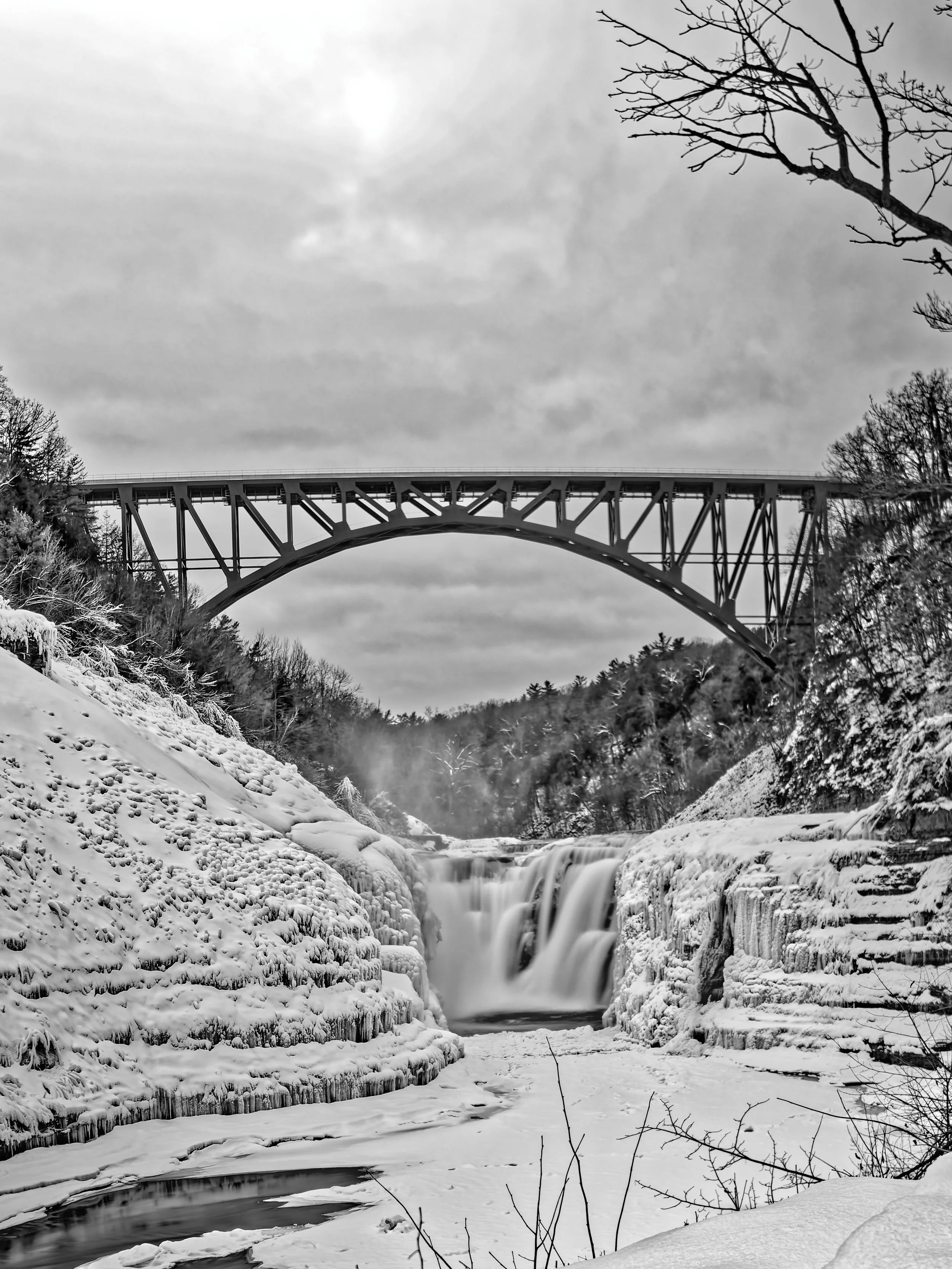 The Basics - Understanding Metering Modes: Reading the Light Before You Miss the Shot