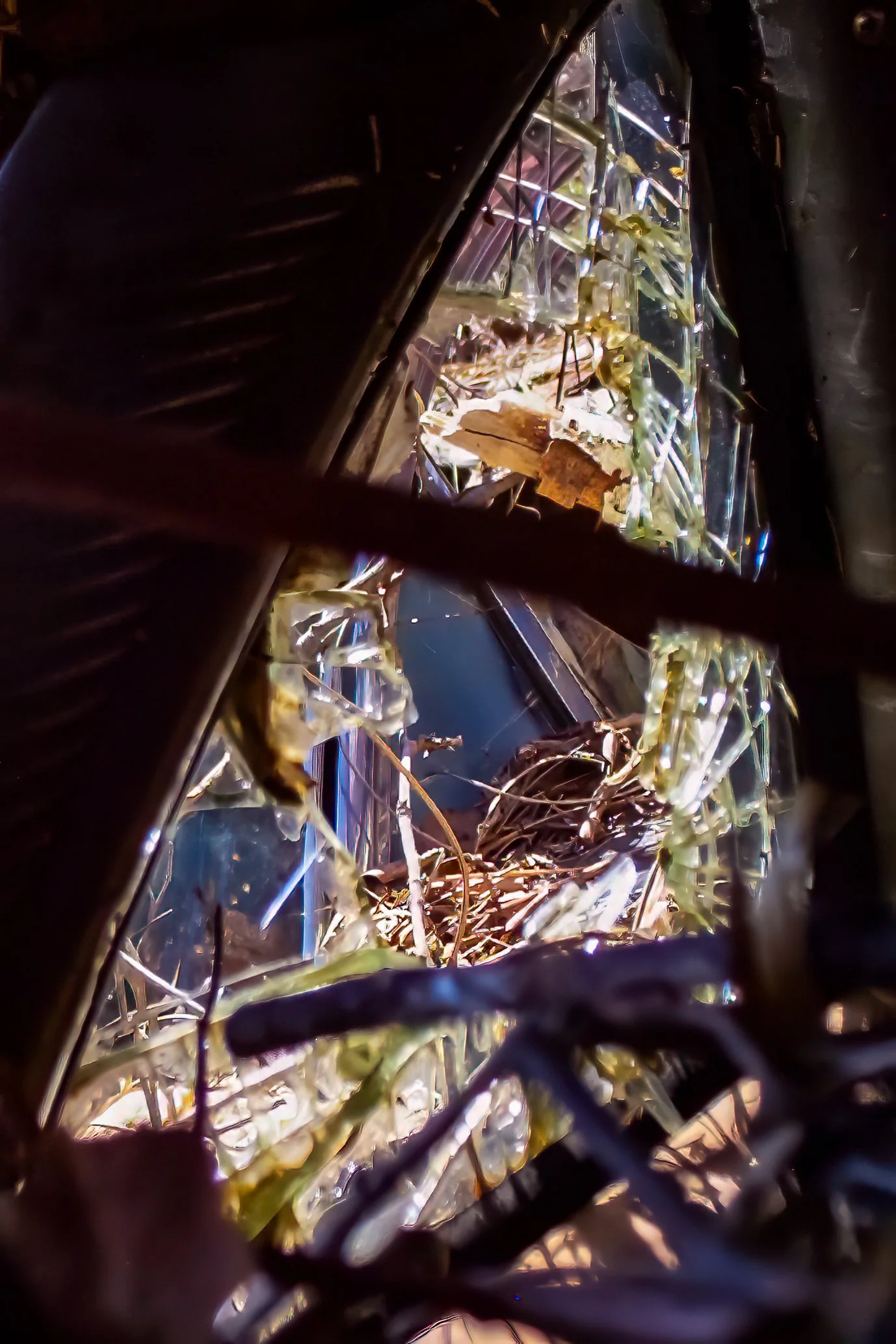 Developing Your Eye: Seeing the Shot Before You Take It