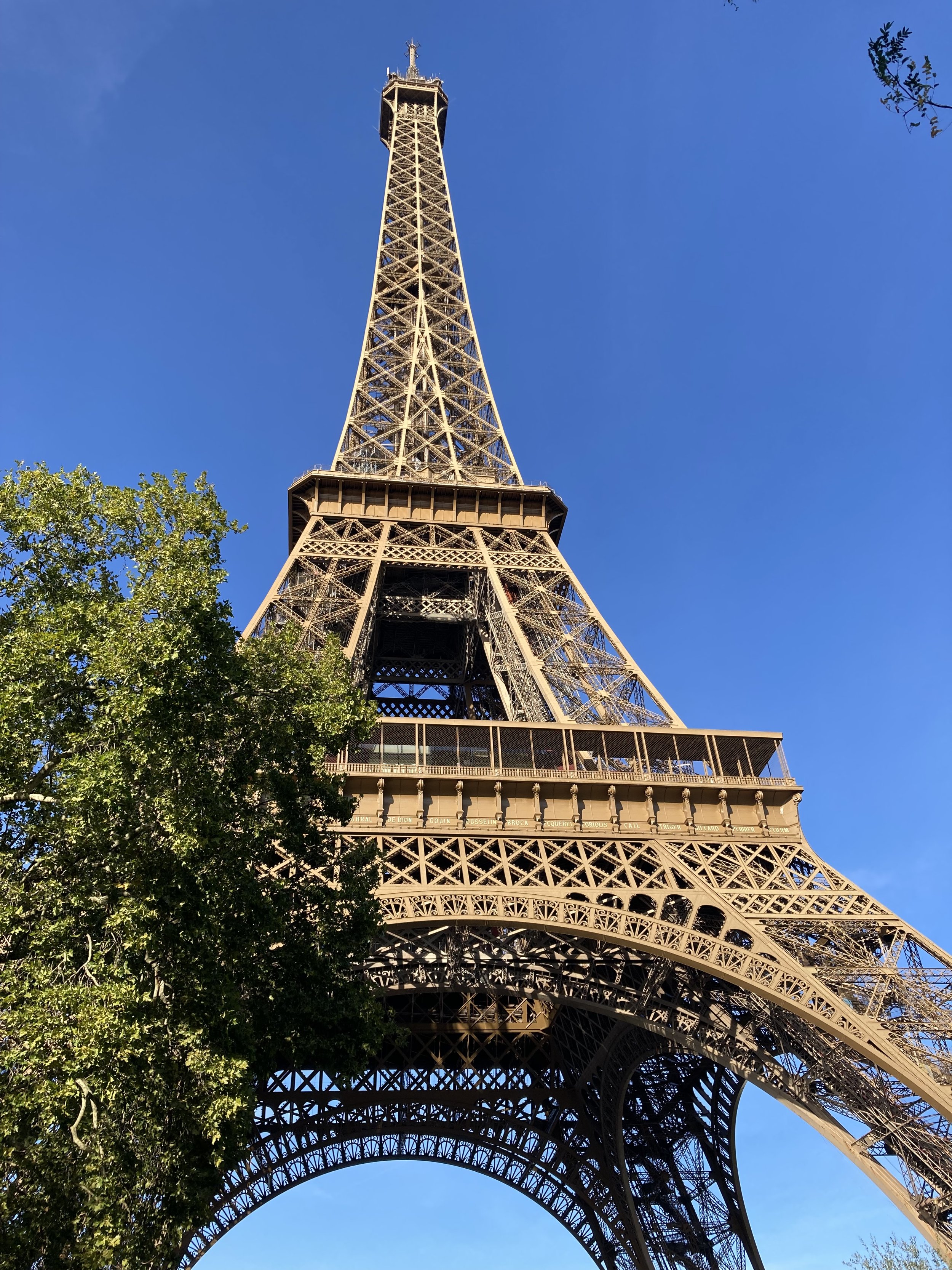 IMG_2709.jpeg