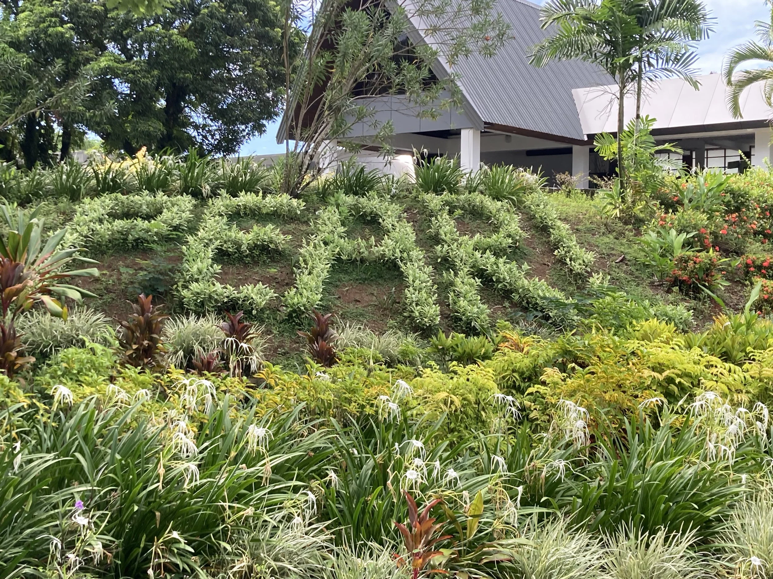 Pacific Harbour Beach, Fiji (March 4, 2026)