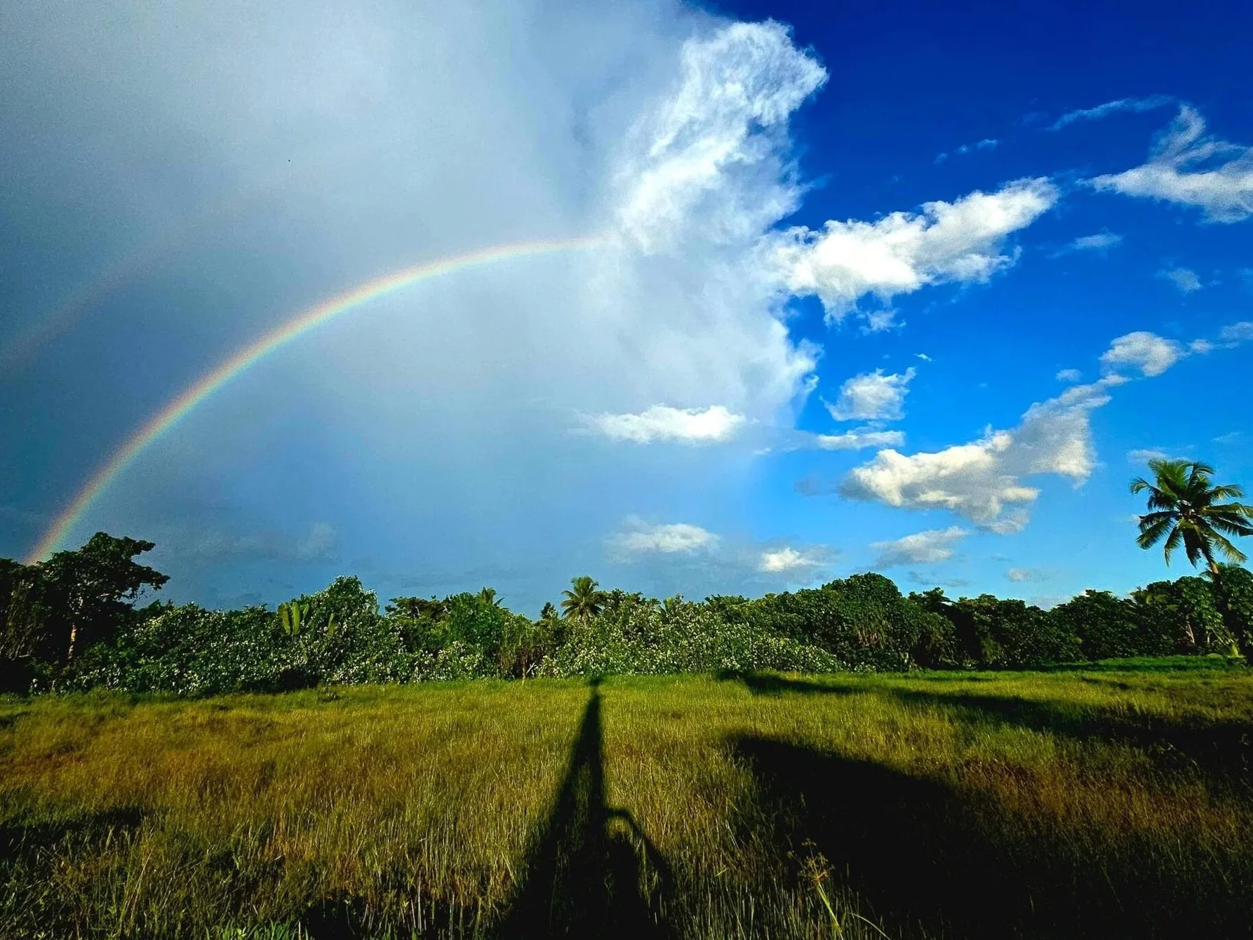 Farewell Fiji (March 11, 2026)