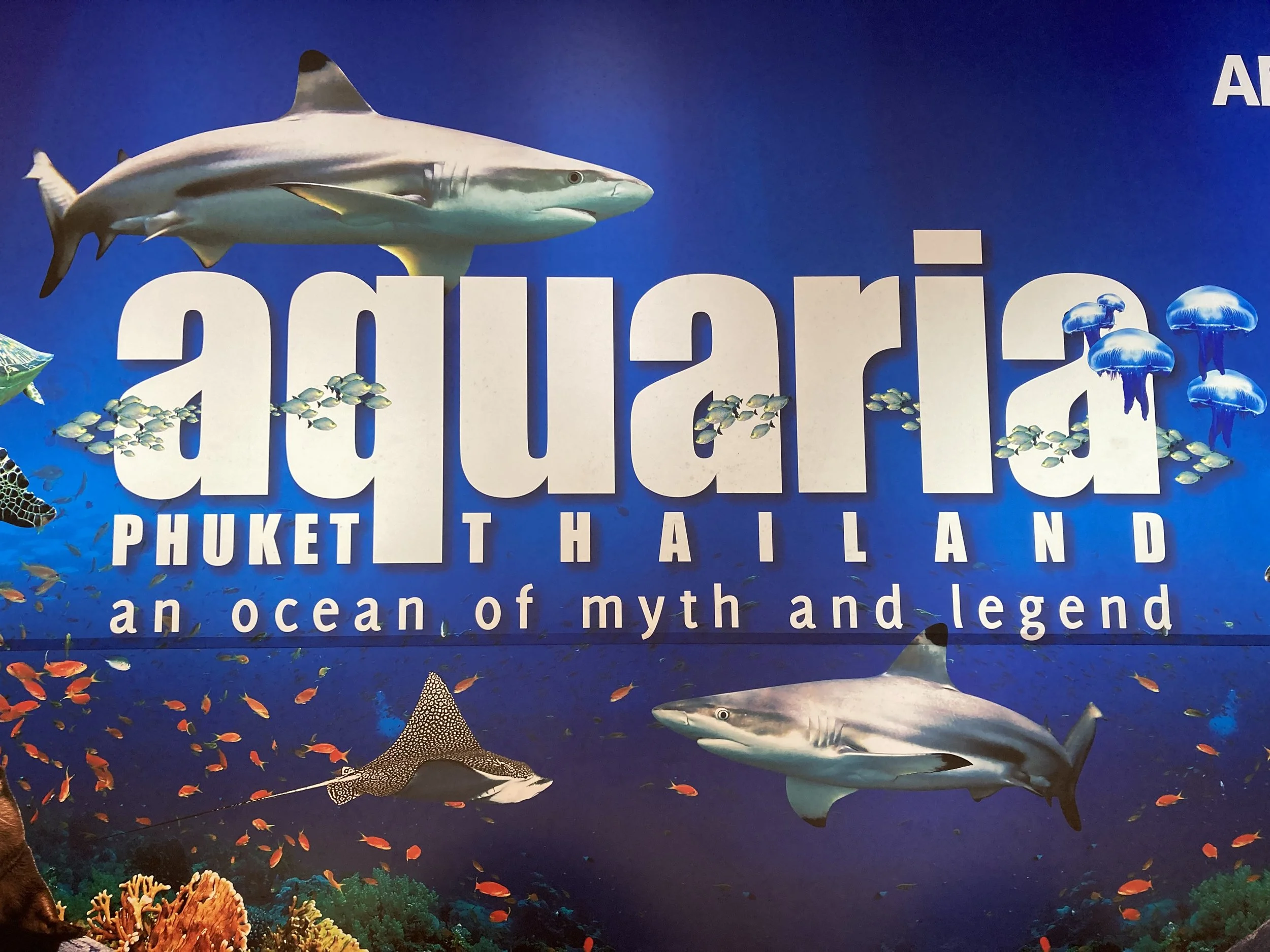 Aquaria, Phuket, TH (March 20, 2026)
