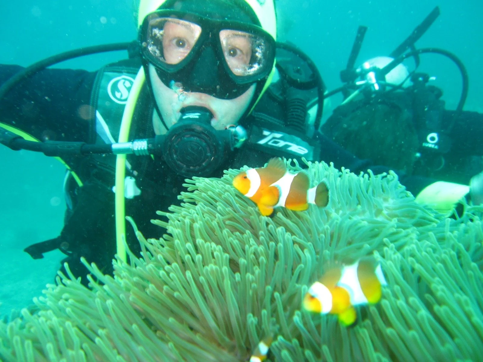 Finding Nemo in Phuket, TH (March 21, 2026)