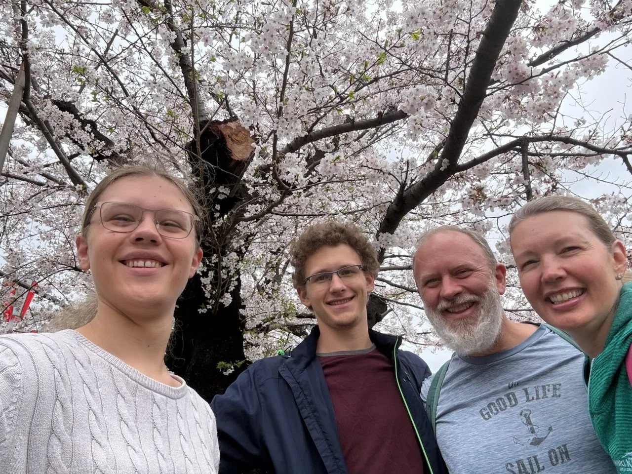 Tokyo Cherry Blossoms (April 2, 2026)