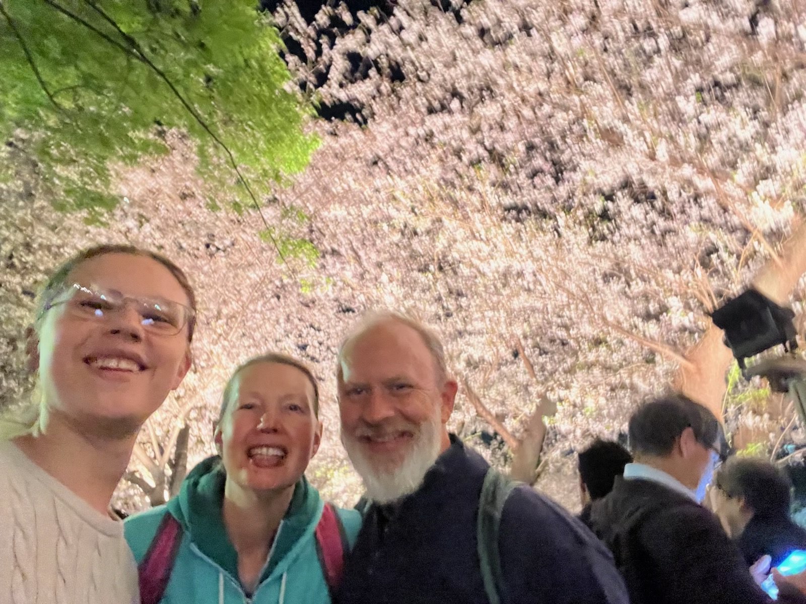 Tokyo Cherry Blossoms at Night (April 4, 2026)