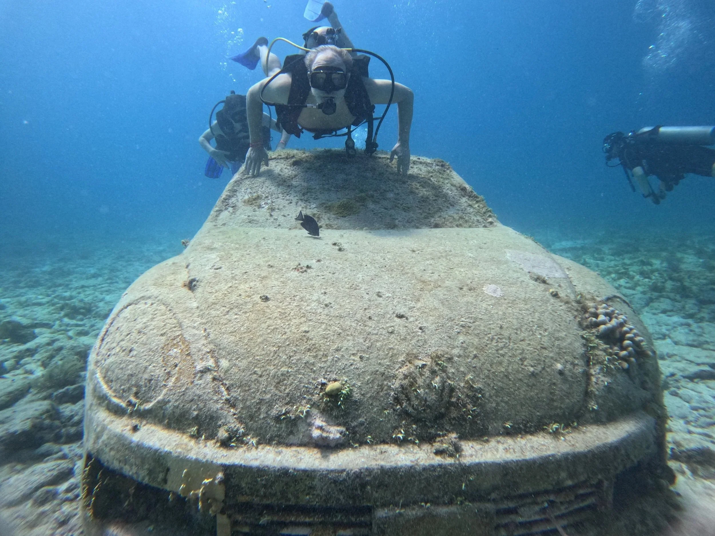 Scuba Dive or Underwater Photo Shoot? (May 12, 2026)