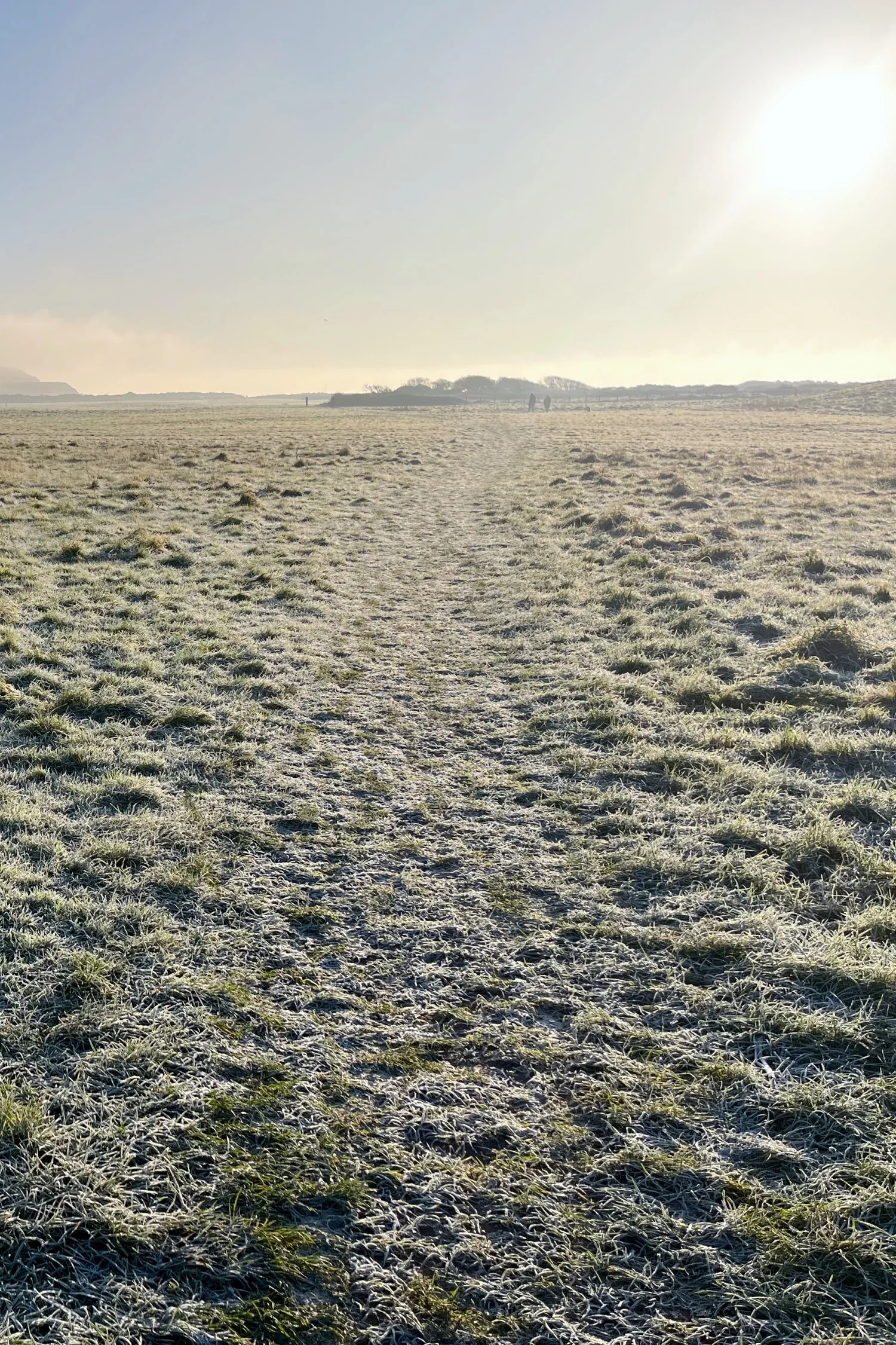 Couples counselling, psychotherapy, counselling, New Forest, Bournemouth, Christchurch, Poole