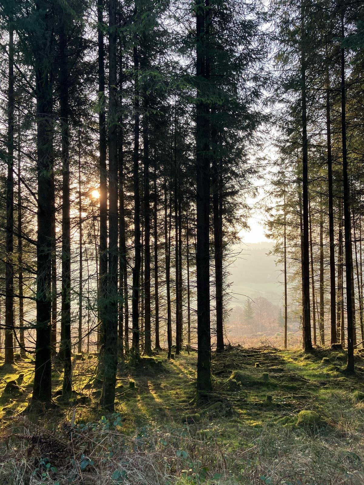 WhatsApp Image 2025-03-14 at 12.03.44 (10).jpeg