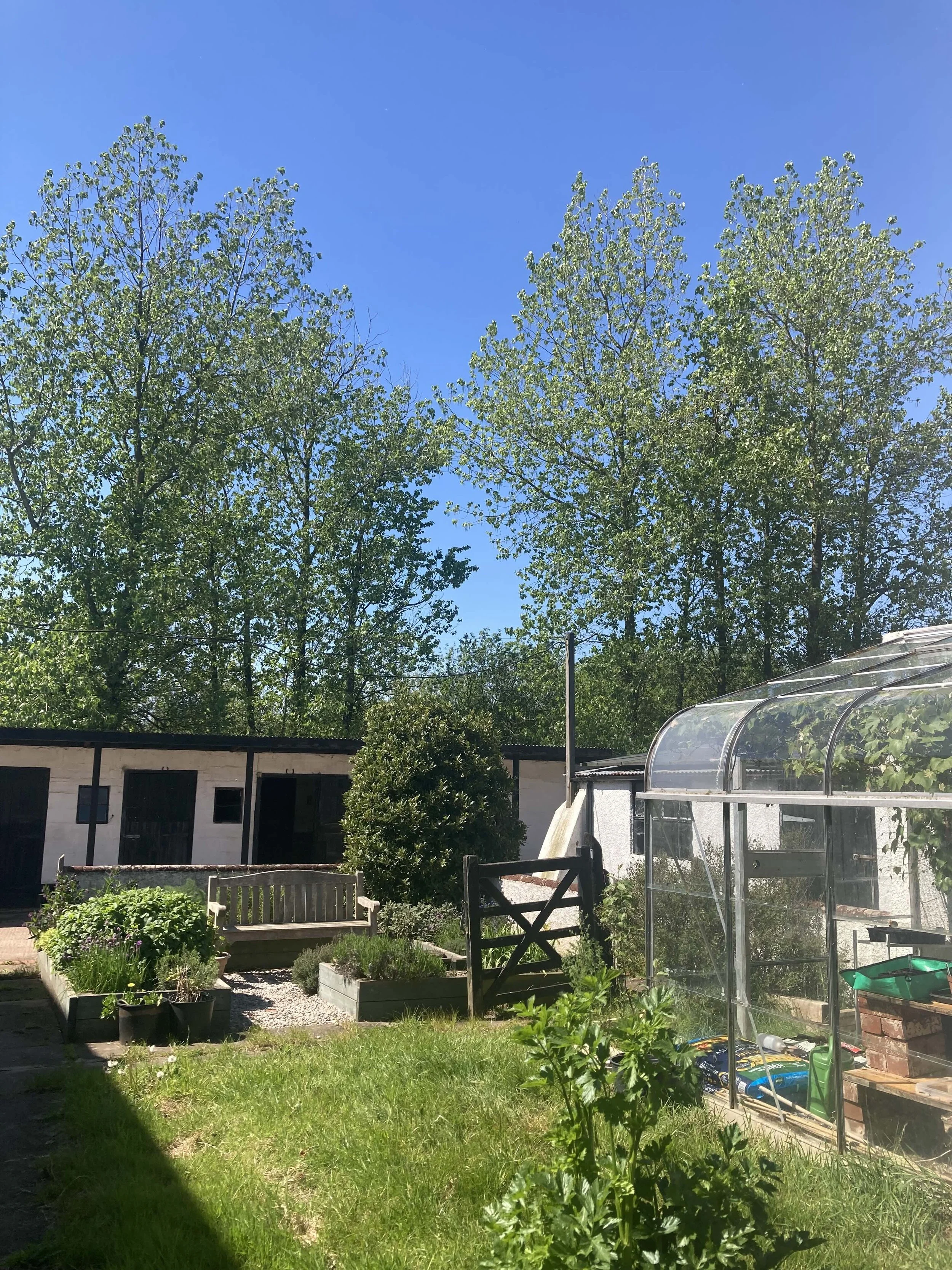 The Herb Garden