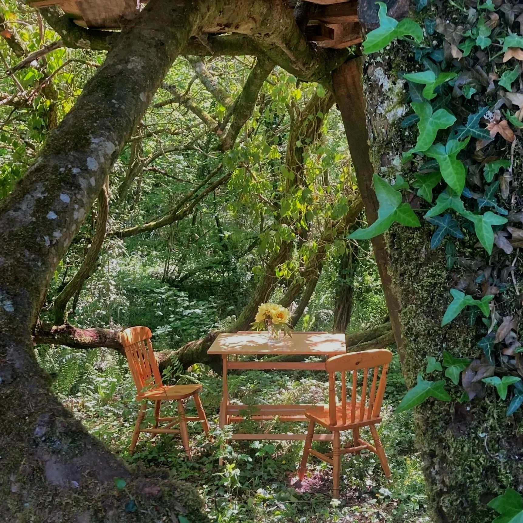 Farm%2Bwoodland%2Bmeeting.jpg