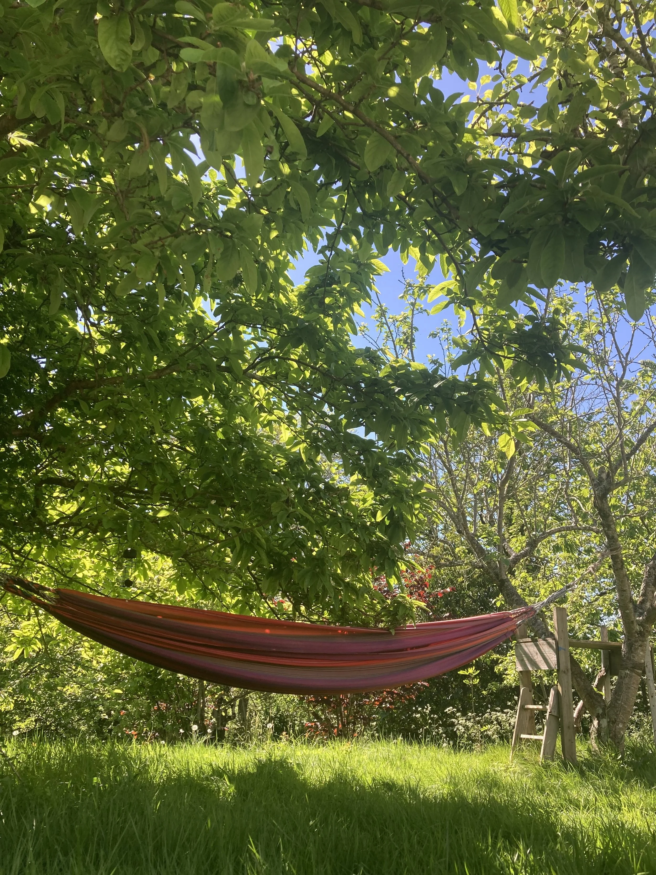 Farm Hammock.jpg