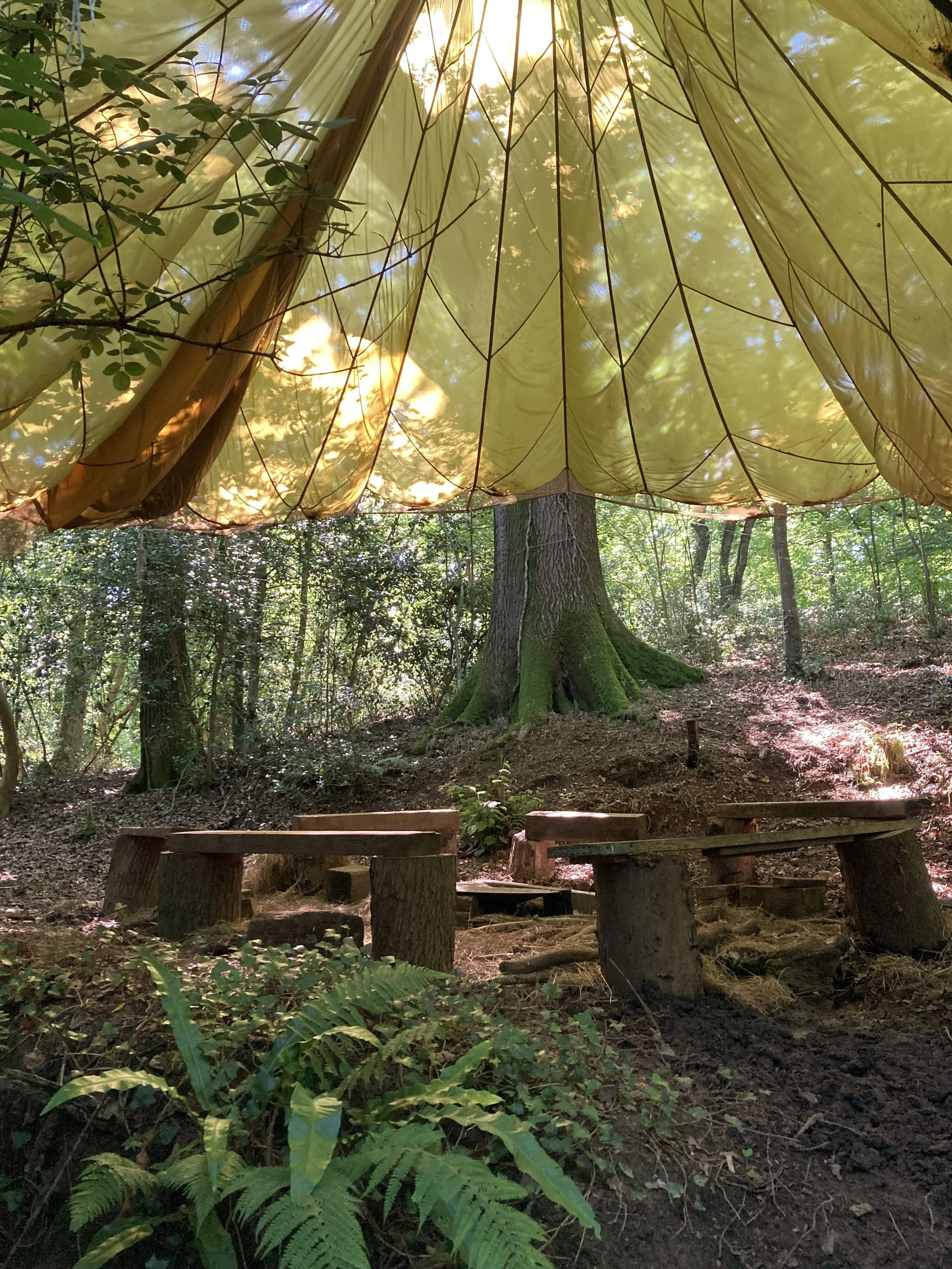 The Woodland Circle
