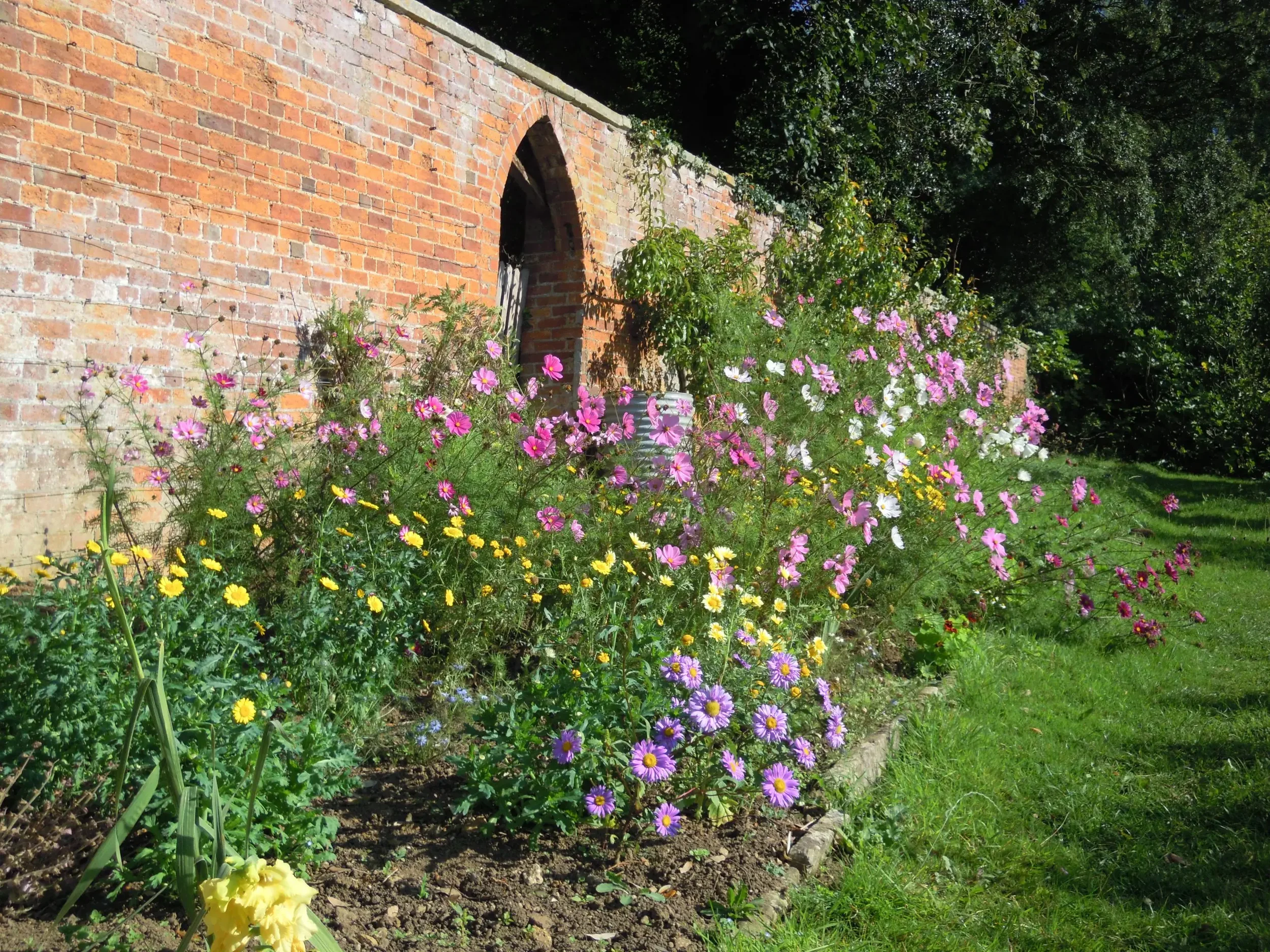 Hawkwood walled garden.webp