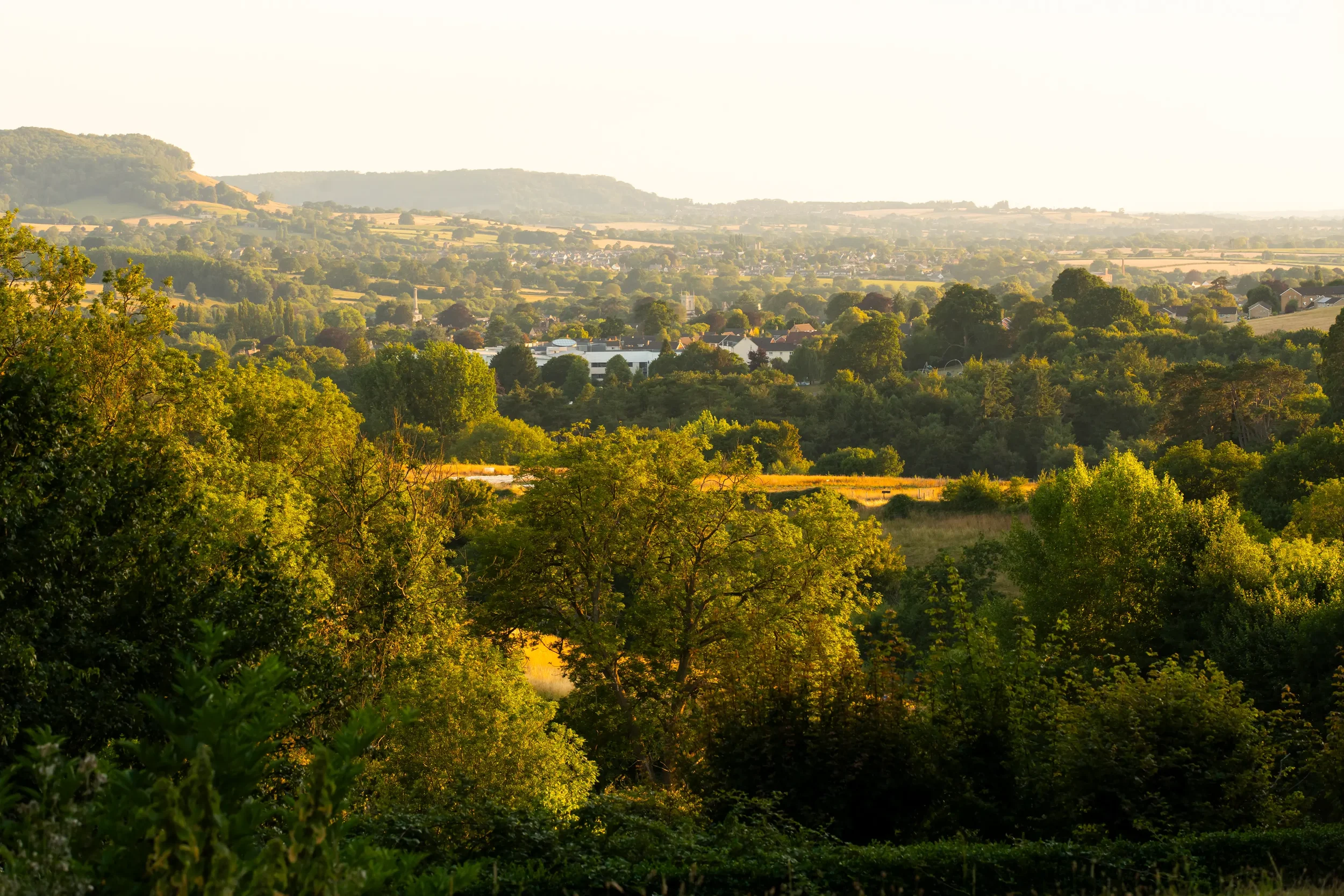 hawkwood view.webp