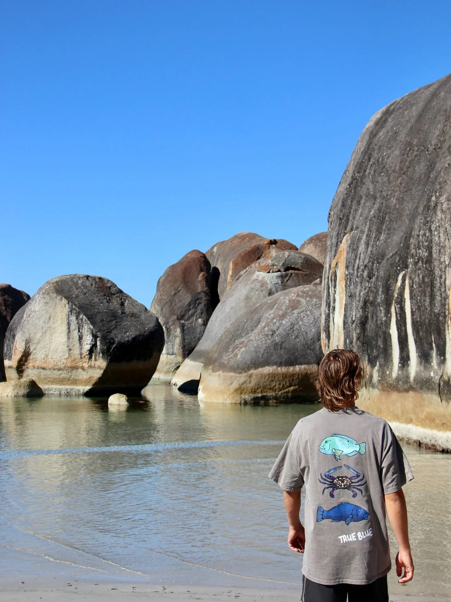 A personal favourite of ours, True Blue 🐟