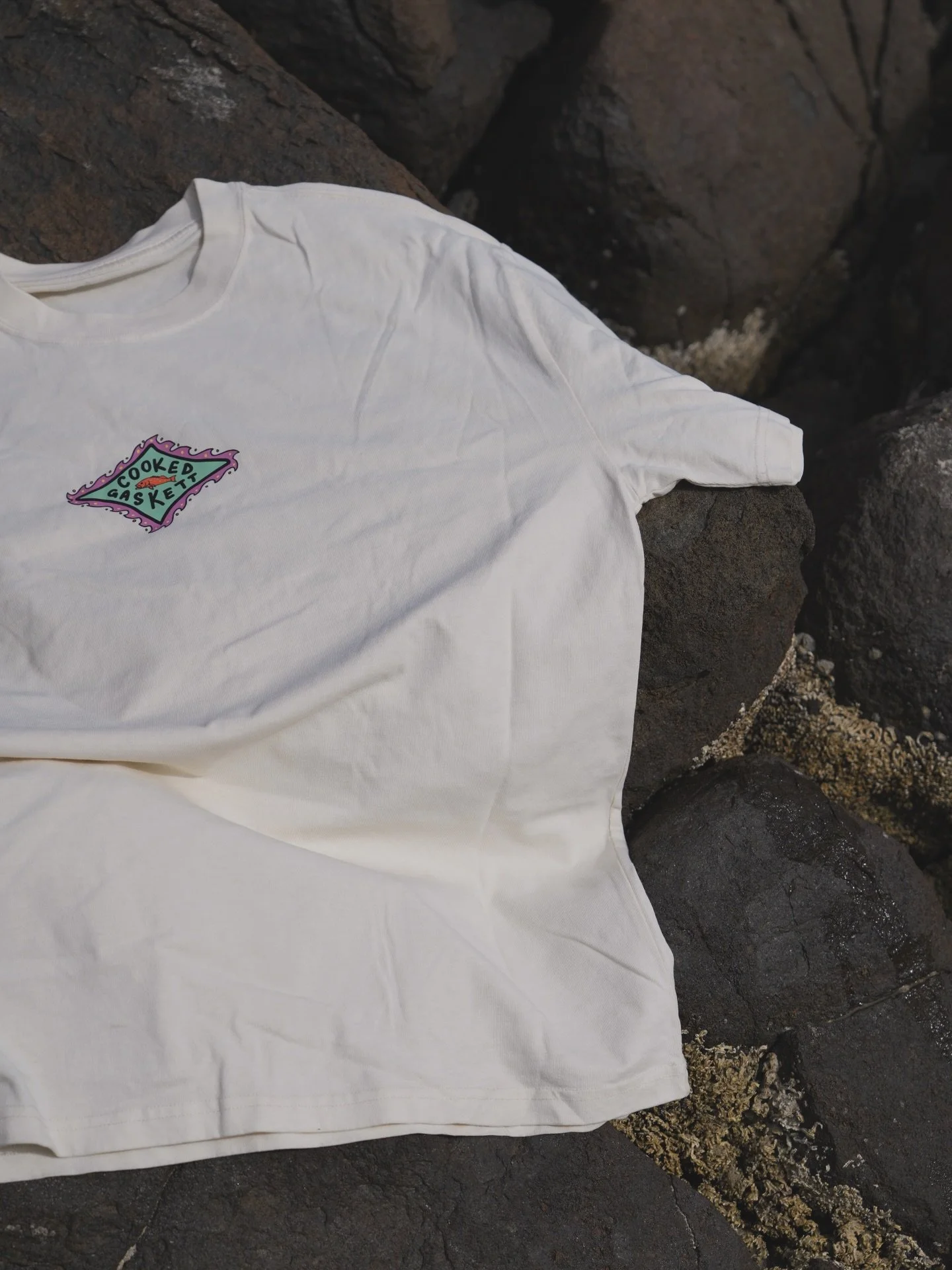 This bad boy is up on the website, check it out 👀