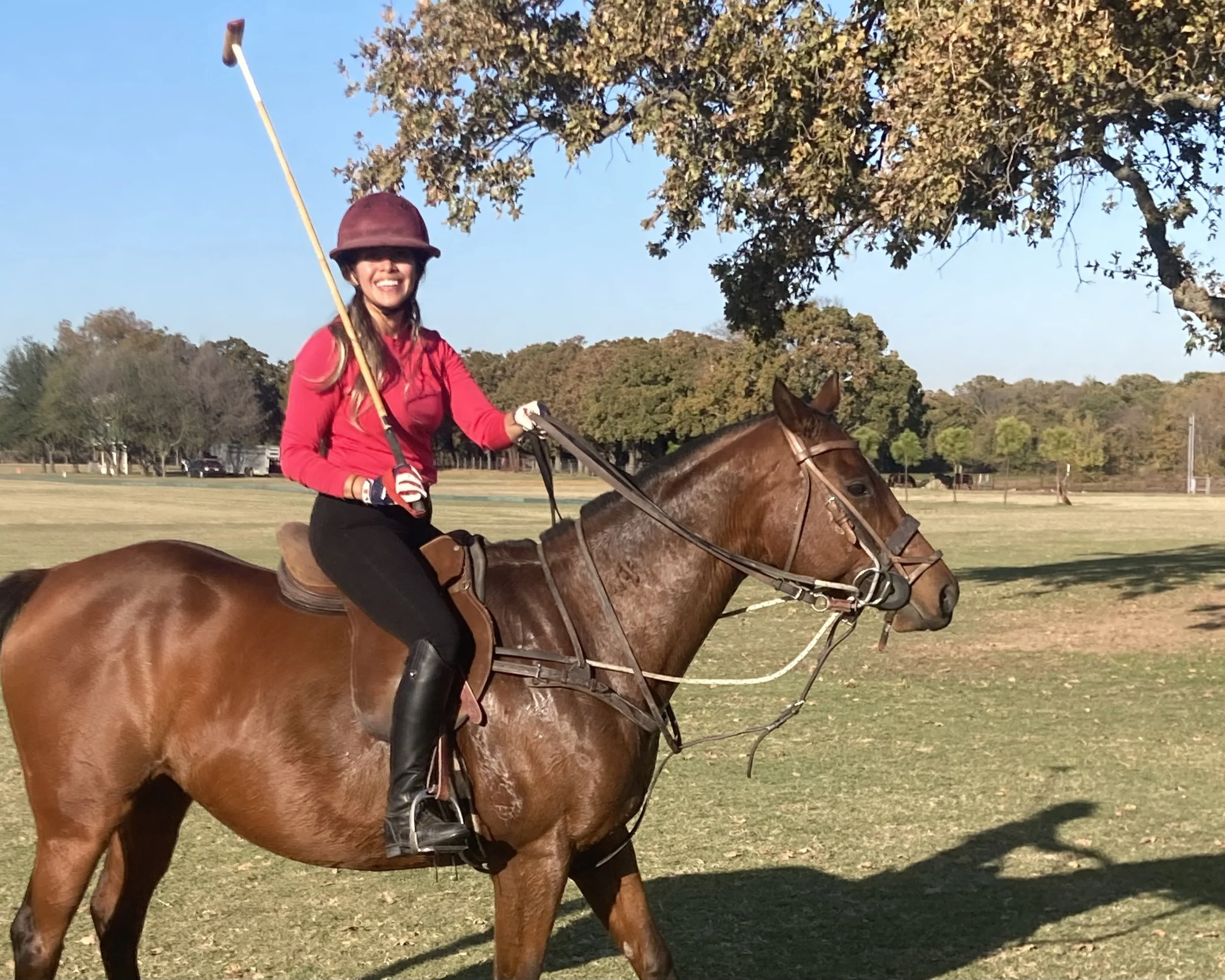 How Much Does It Cost to Play Polo? Honest Numbers